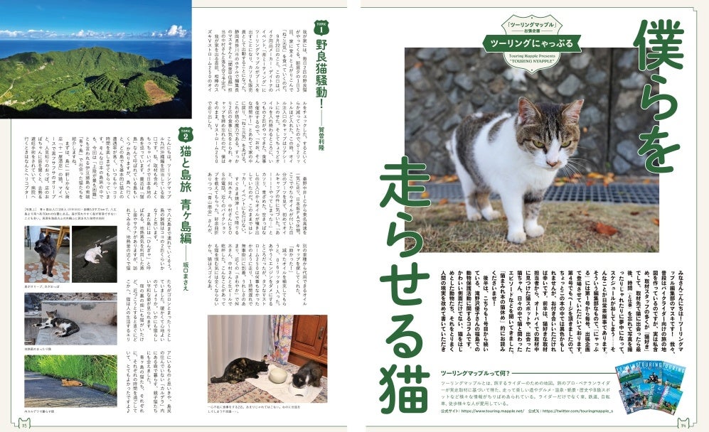 ねこ界のスーパーブラザーズ「もちまる＆はなまる」登場！人気シリーズ