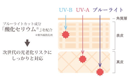 シャンソン化粧品が日焼け止め商品「UVプロテクト クリーム」を