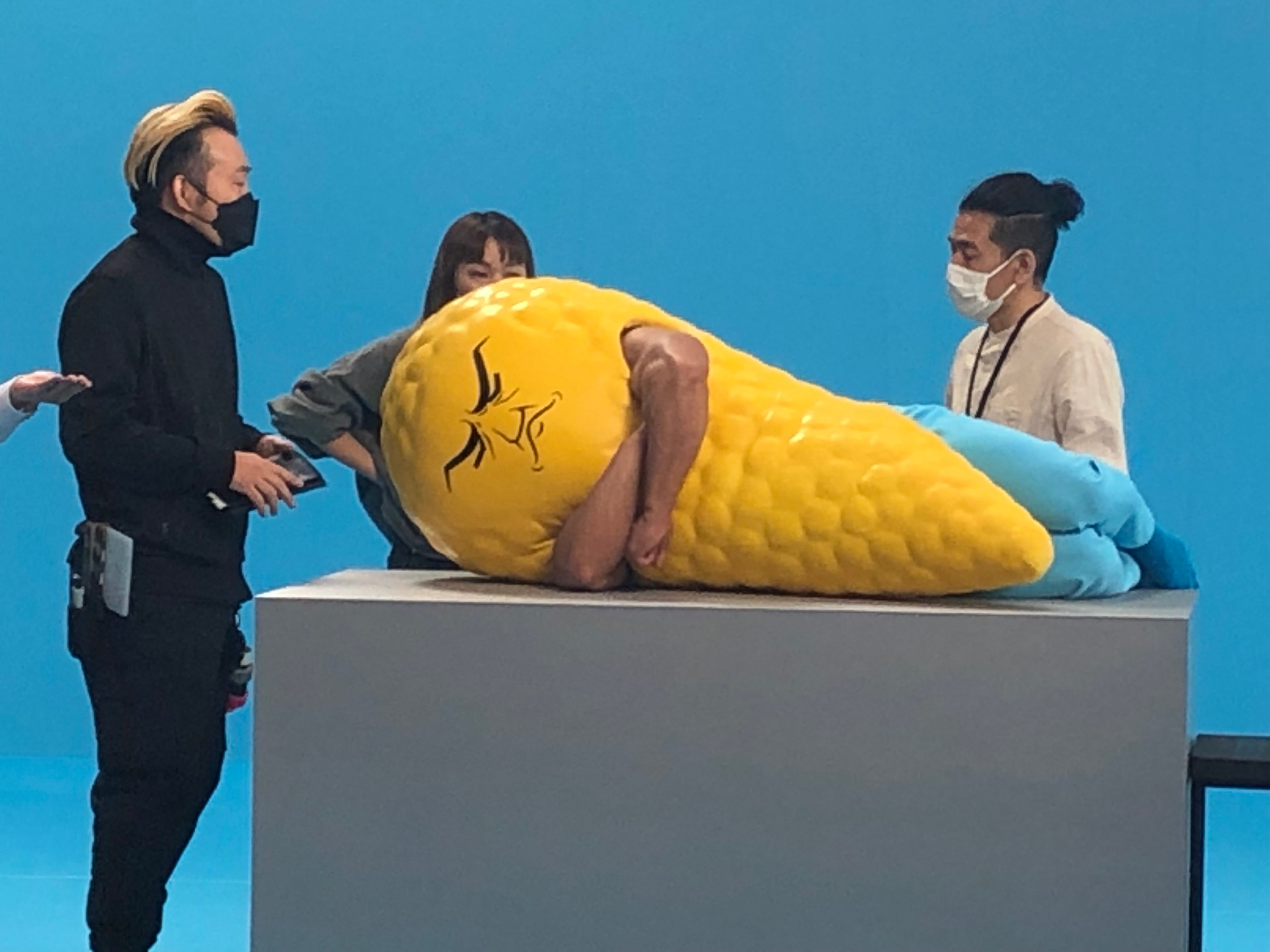 こぽさん専用N-NOSE plusすい臓 ガン検査 線虫がん検査N-NOSE®｜自宅で