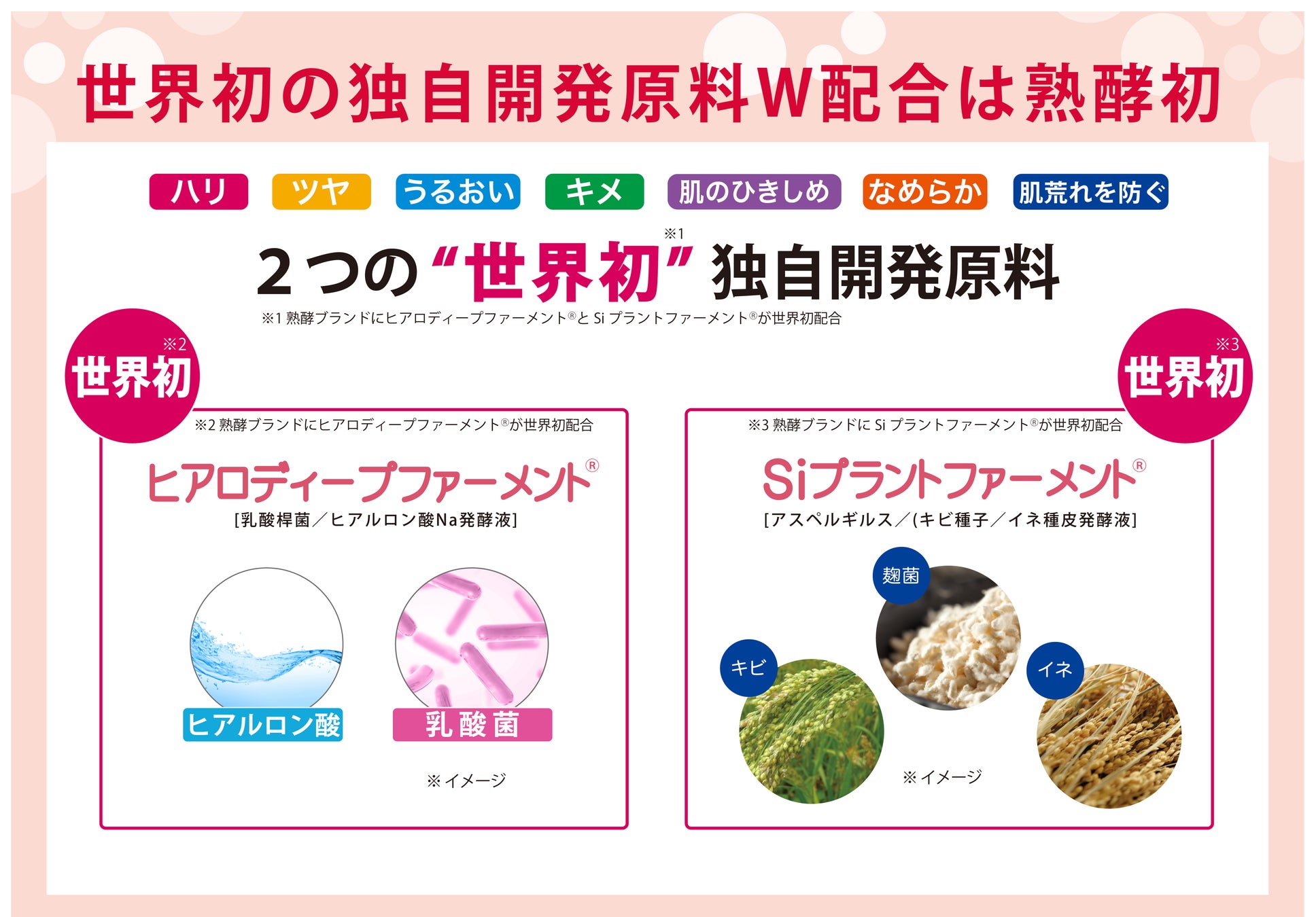 美容成分250種類（※1）！与えながら落とす新感覚の『熟酵 ザ