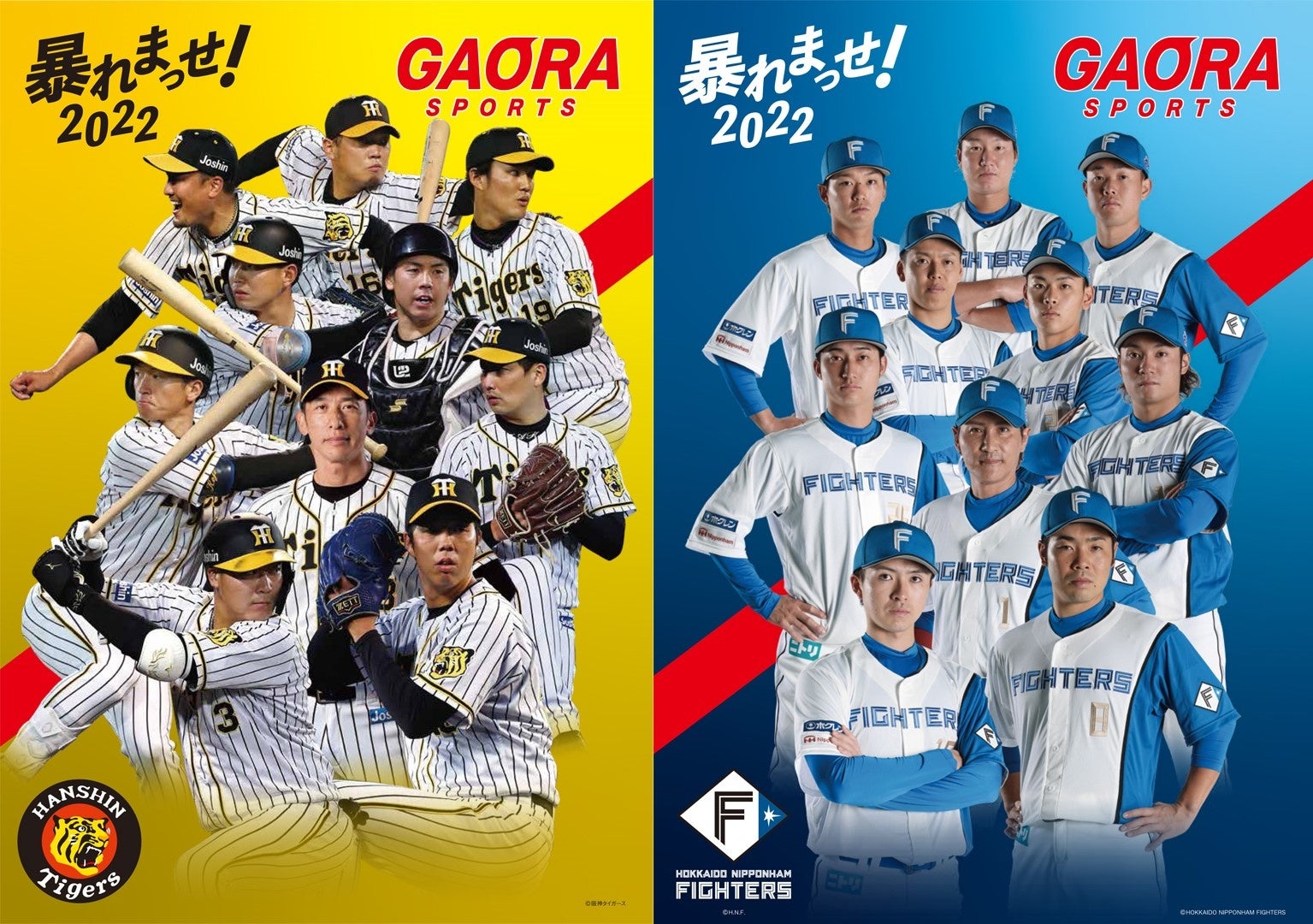 GAORAプロ野球中継2022 放送試合決定！阪神タイガース、北海道日本ハム