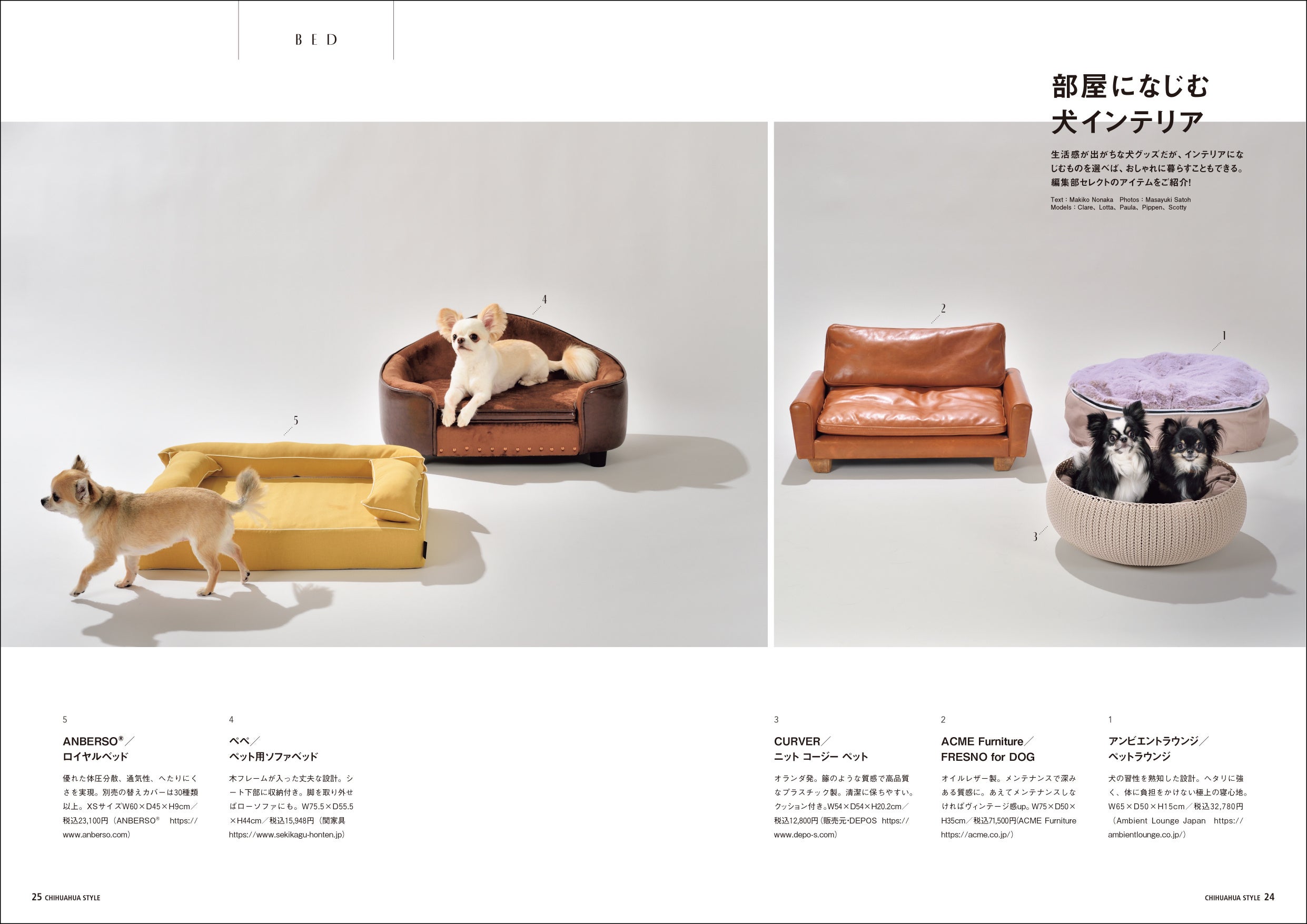 チワワにとっての快適な住まいについて考える チワワ専門誌『チワワ