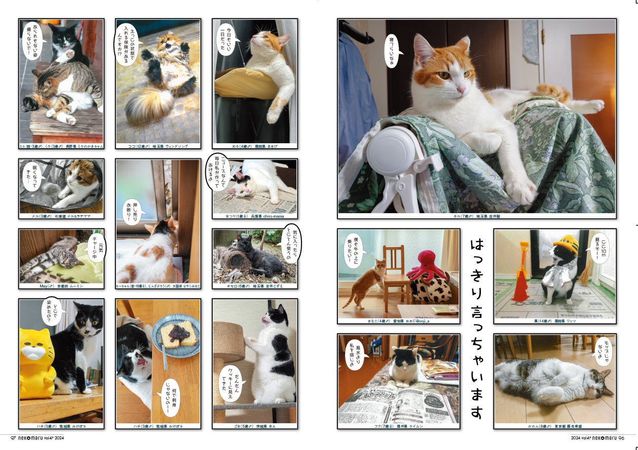 付録カレンダー付き】個性派猫が大集合！ 『ネコまる』2024 冬春号 Vol
