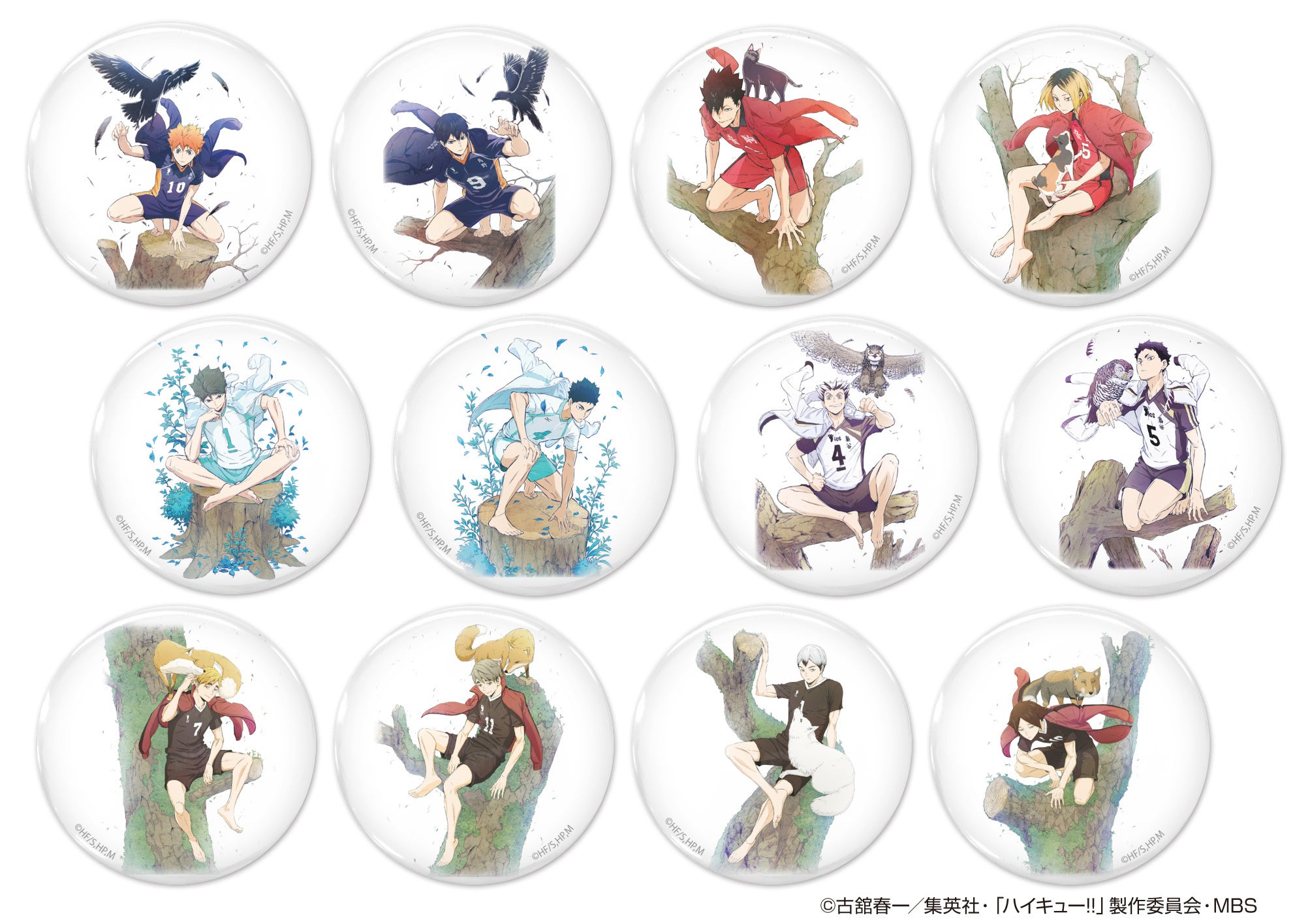 ハイキュー!!』より、「日向翔陽」「影山飛雄」とライバルたちの直径