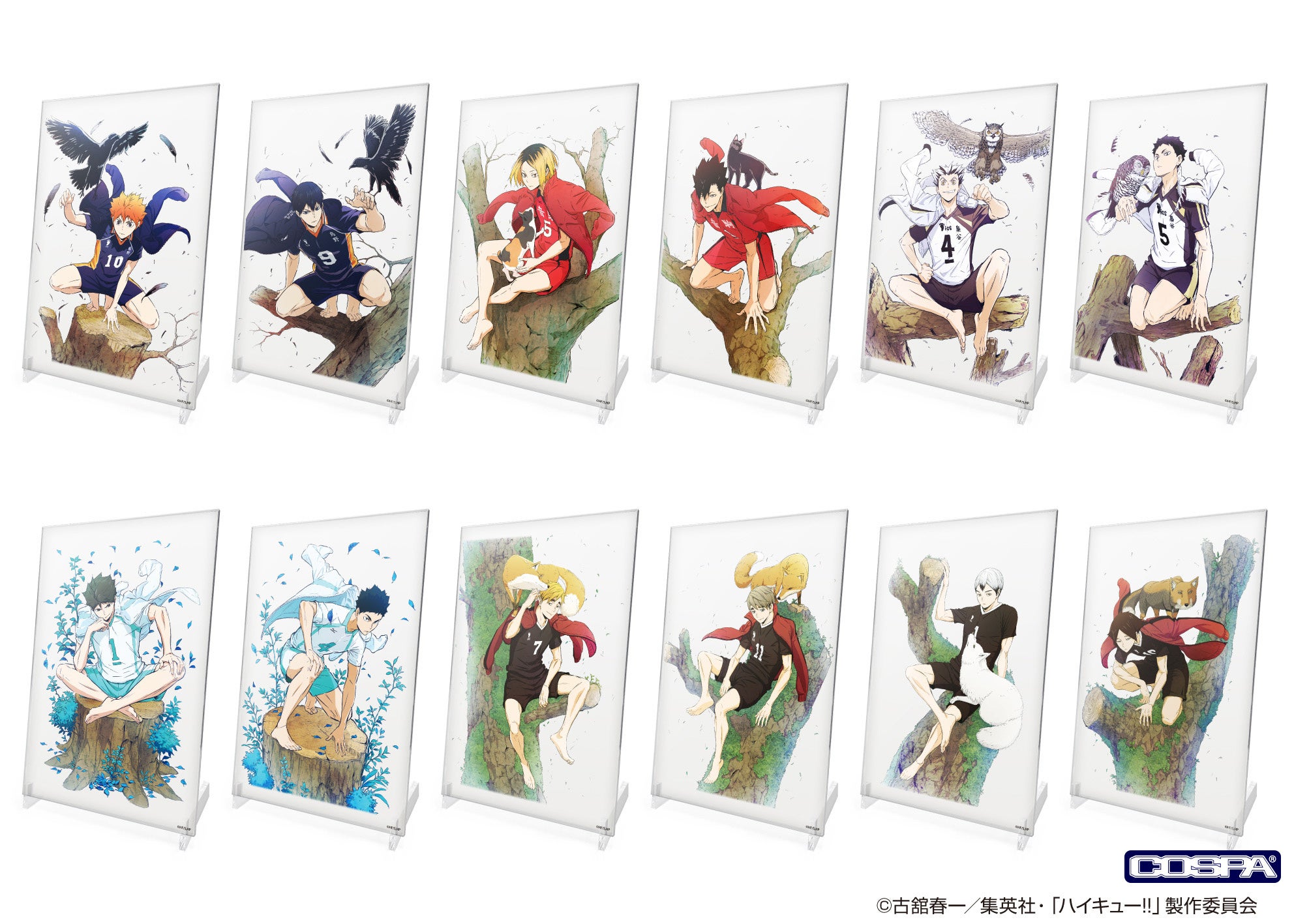 ジャンプフェスタ2024〉コスパ出展！先行販売グッズから、『ハイキュー