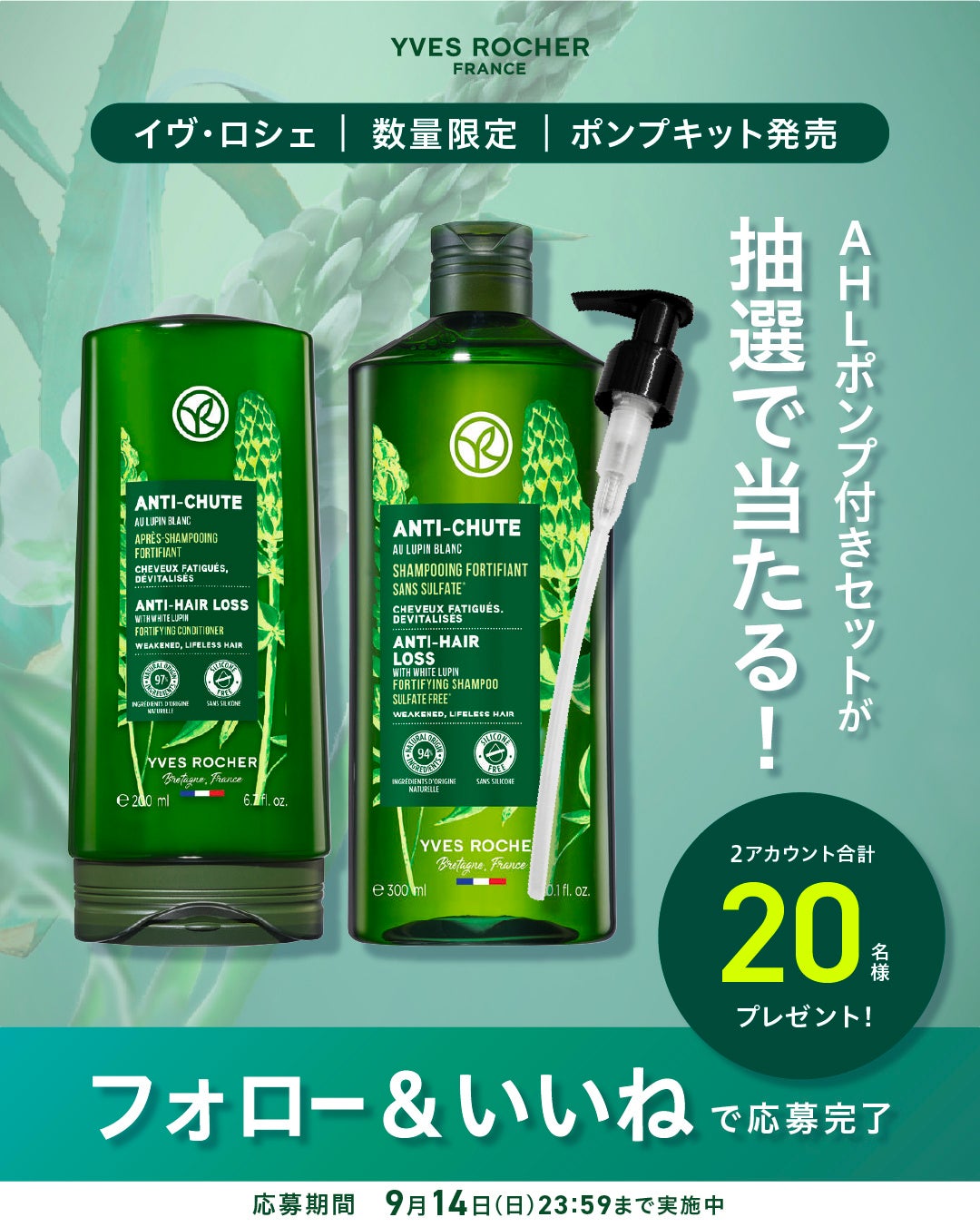 イヴ・ロシェ】2025年9月5日（金）より人気のヘアケア3シリーズに遂に