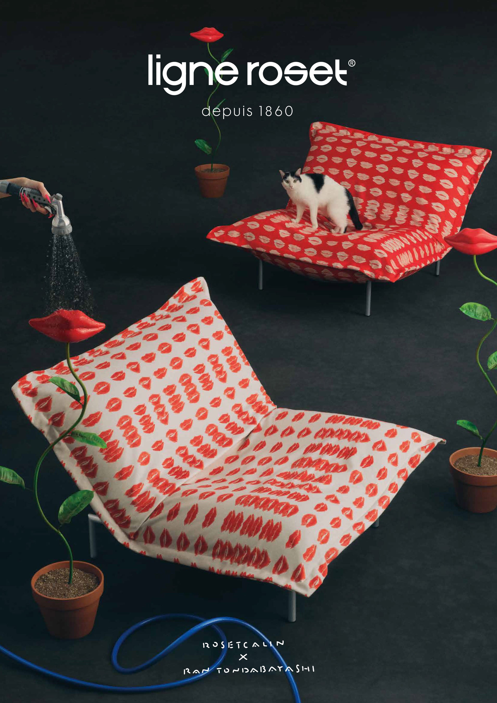 大好評の「とんだ林蘭×リーン・ロゼ」コラボ！第2弾は、《見る距離