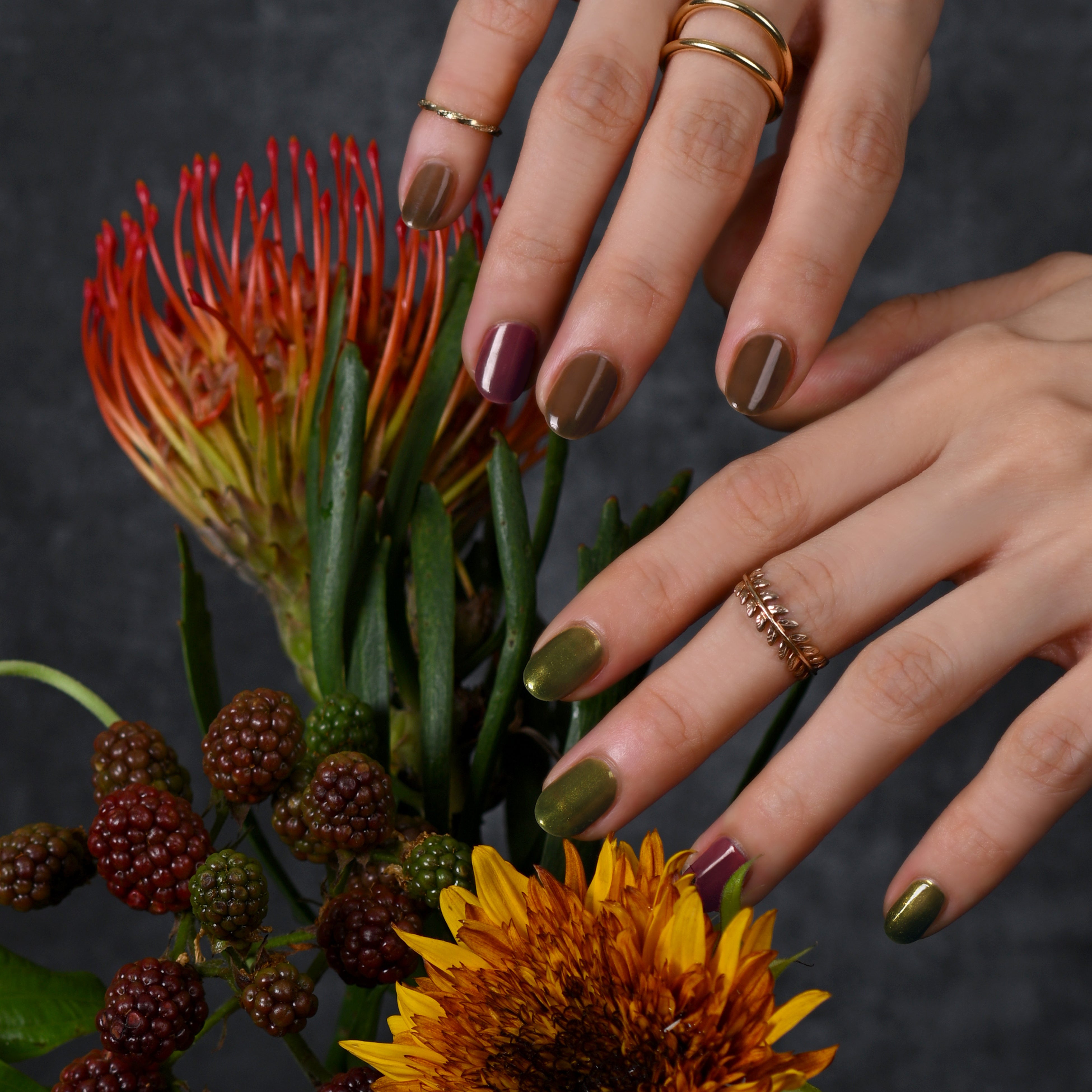 国産マニキュアブランド「コゼットジョリ」から【5周年記念復刻カラー