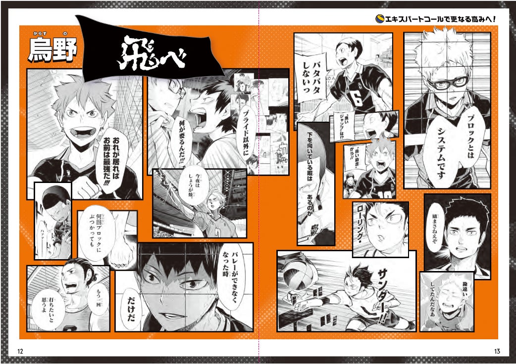 212枚のスペシャルなカードからなる『ハイキュー!!』のボドゲ