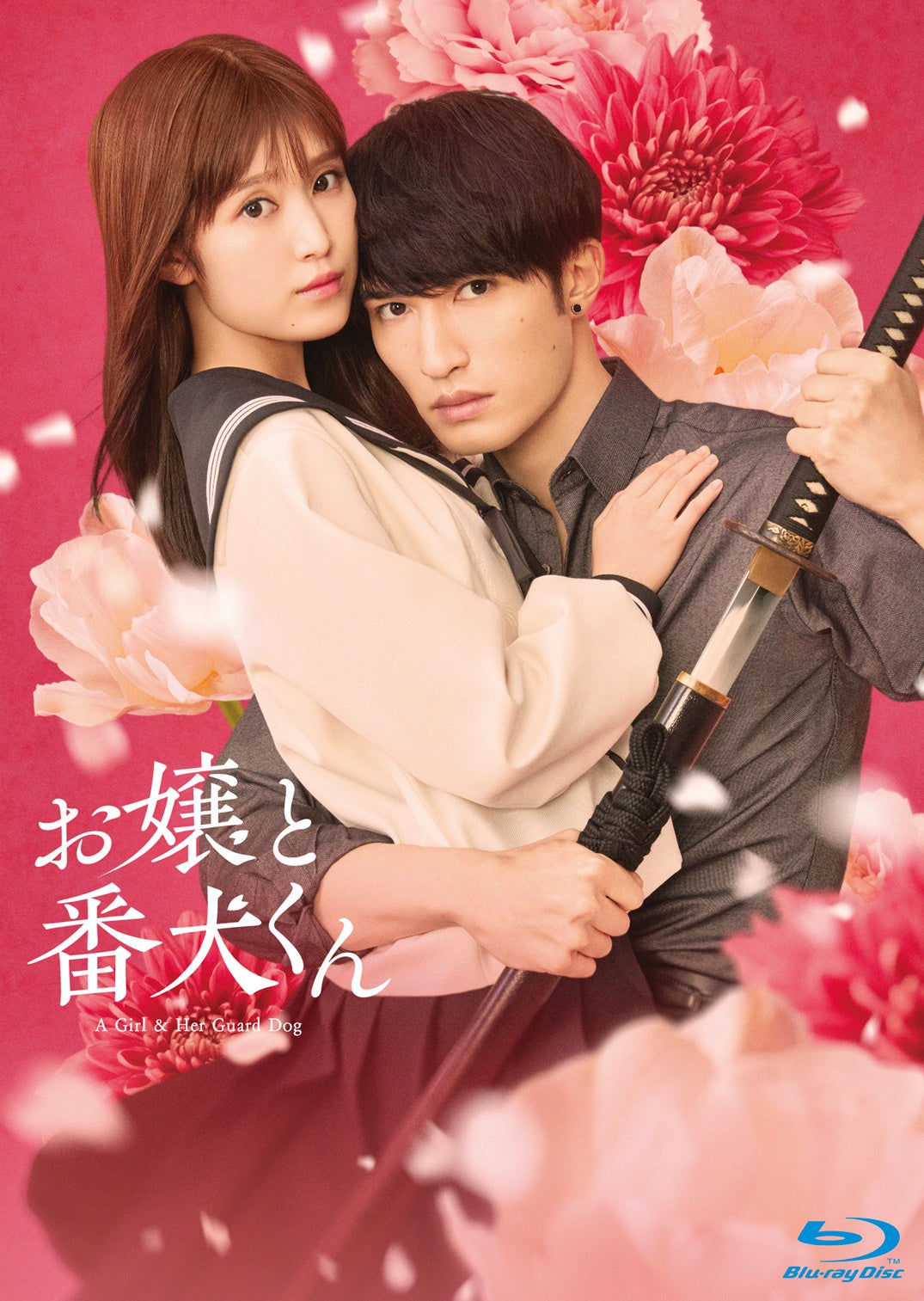 映画『お嬢と番犬くん』Blu-ray＆DVD、2025年8月13日(水)発売決定