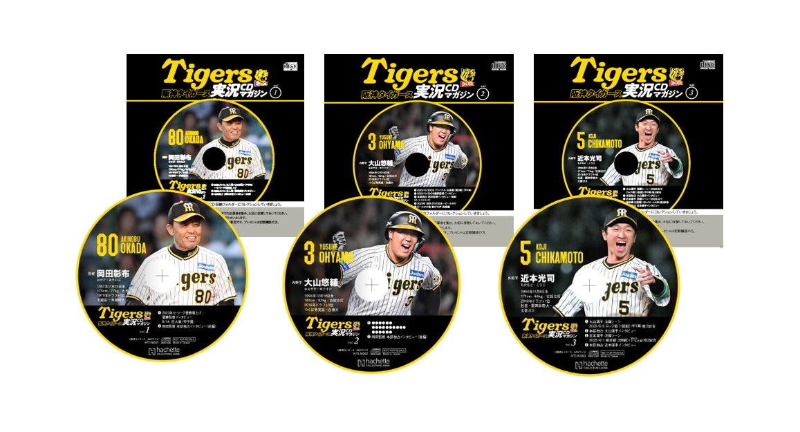 阪神タイガースファン必見！】A.R.E. GOES ON を切に願うファンのため