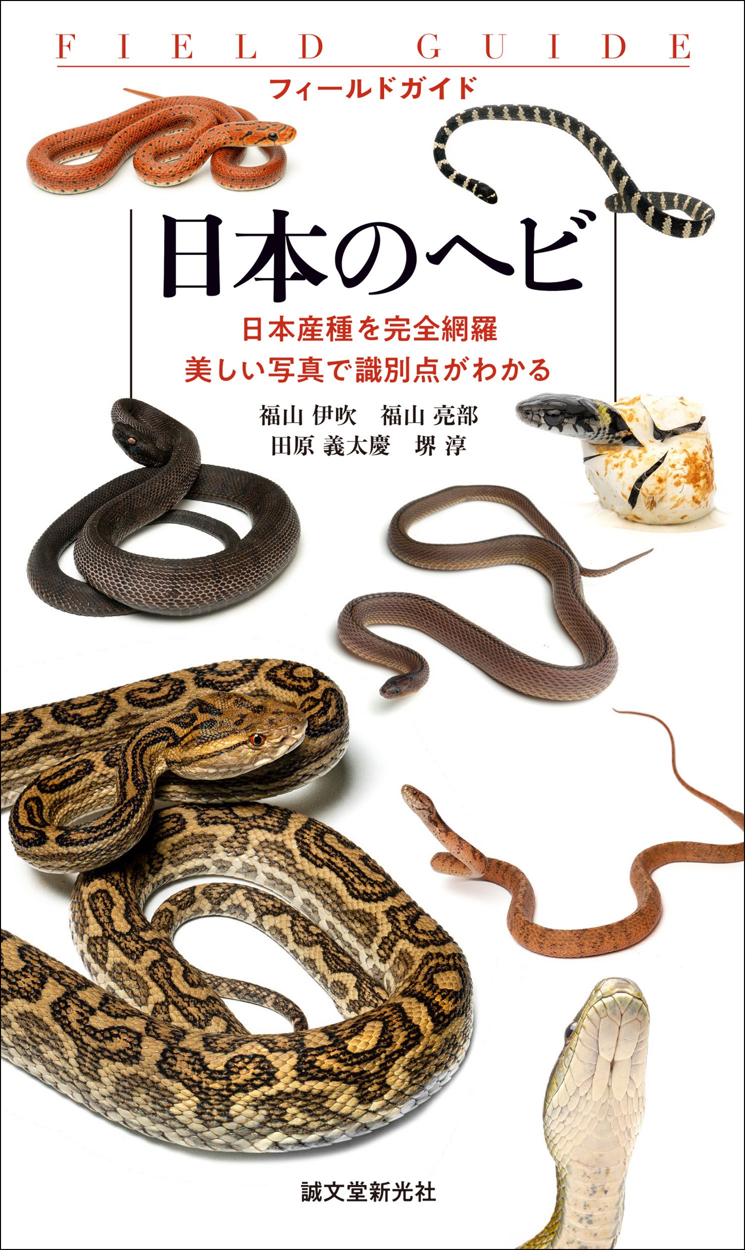 野外観察に必携！ 日本のヘビ43種＋4亜種を網羅し、色彩・地域変異も
