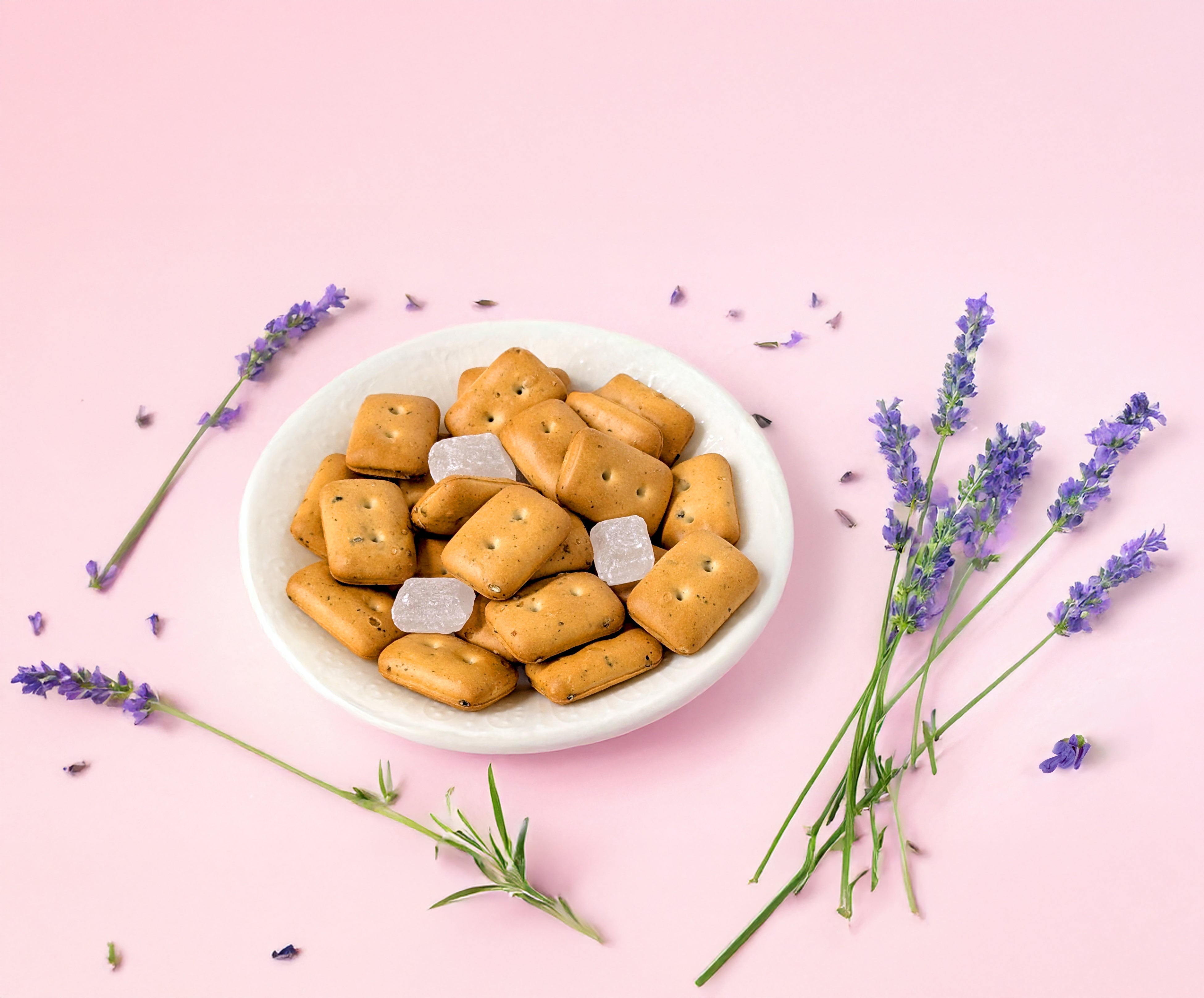 魔法使いの約束』と初の防災商品コラボレーションが実現！『魔法使いの