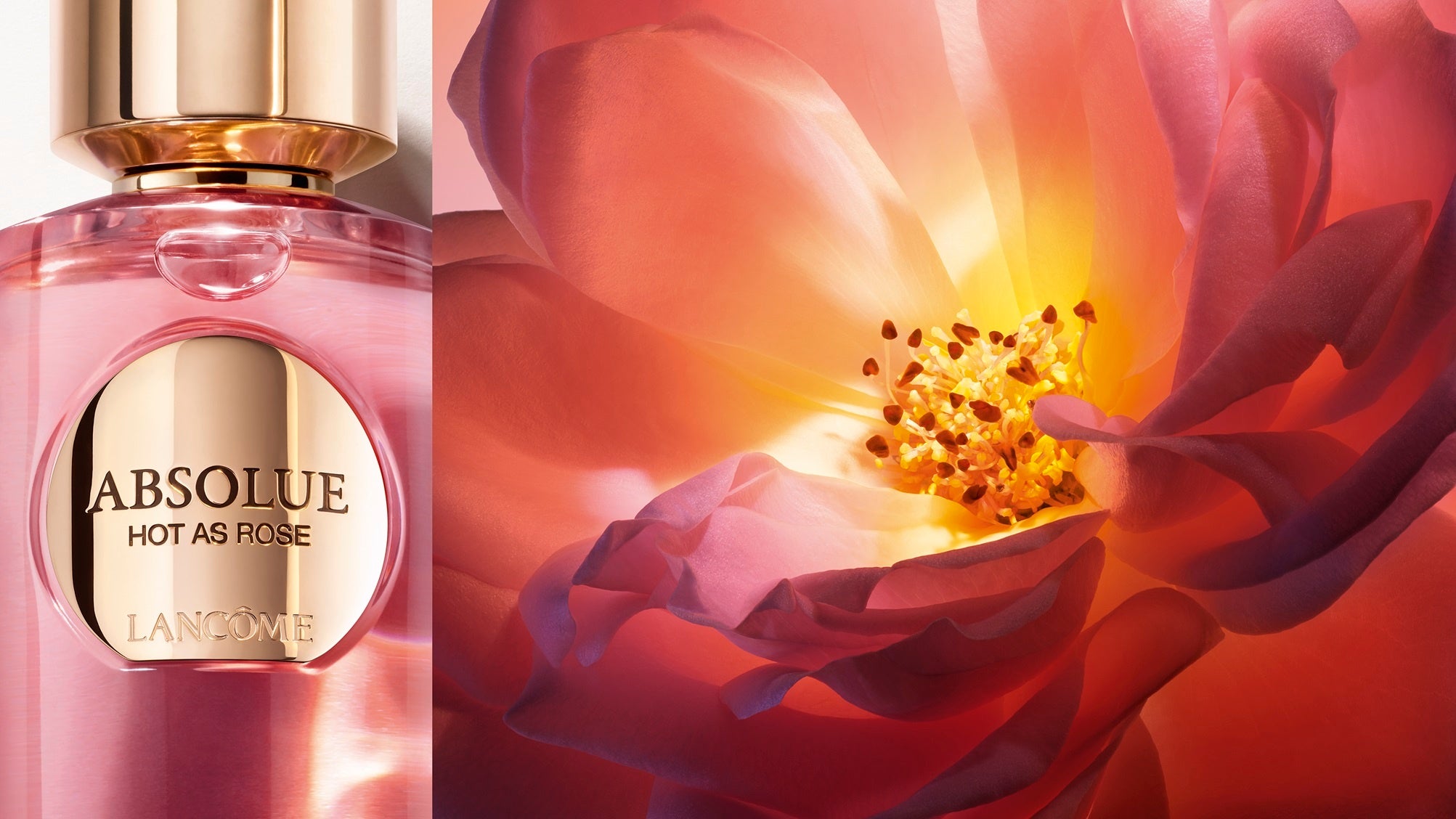 未知なるコレクシオン「アプソリュ レ パルファン」の幕開け。 | 日本