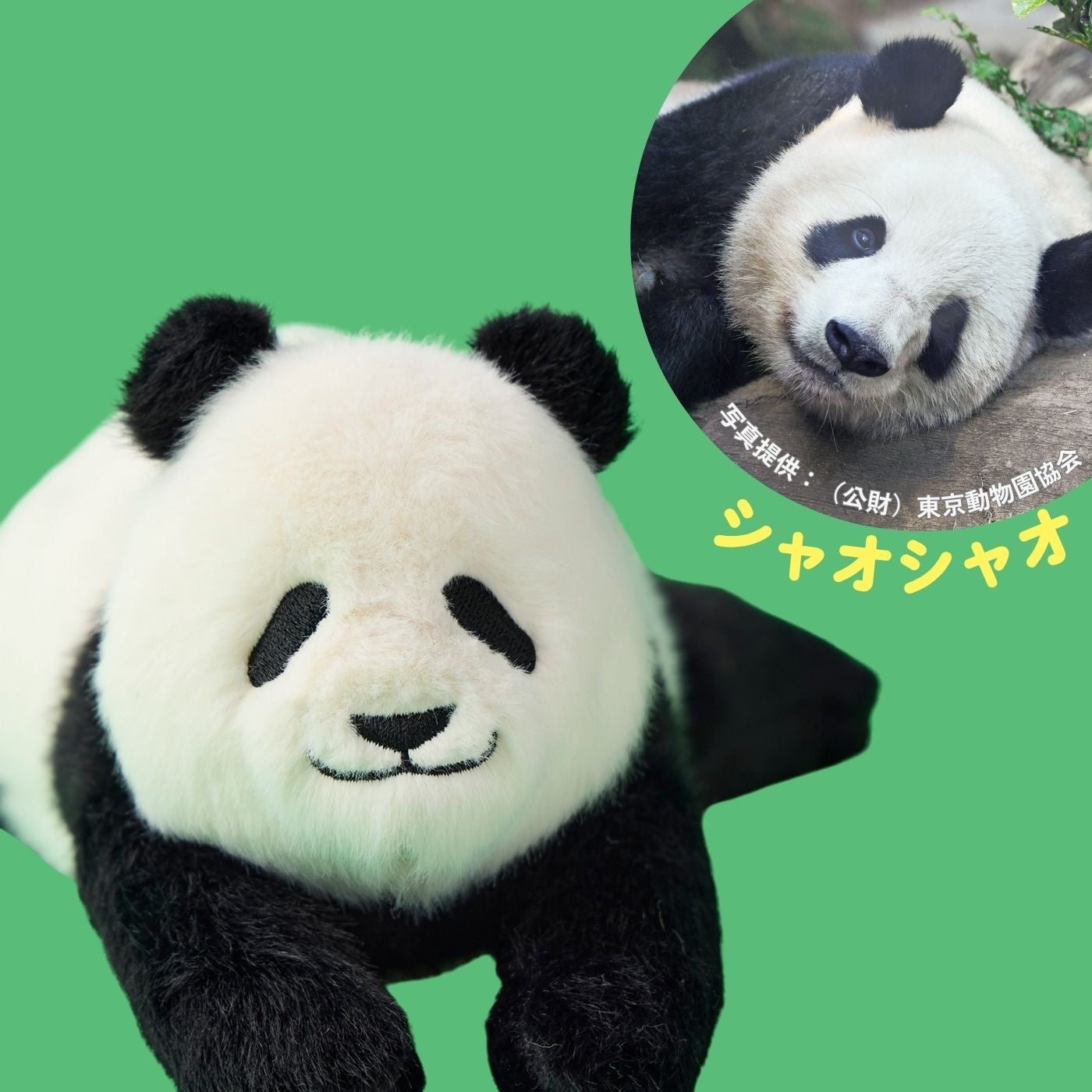 上野動物園の“シャンシャン・シャオシャオ・レイレイ”をモチーフにした