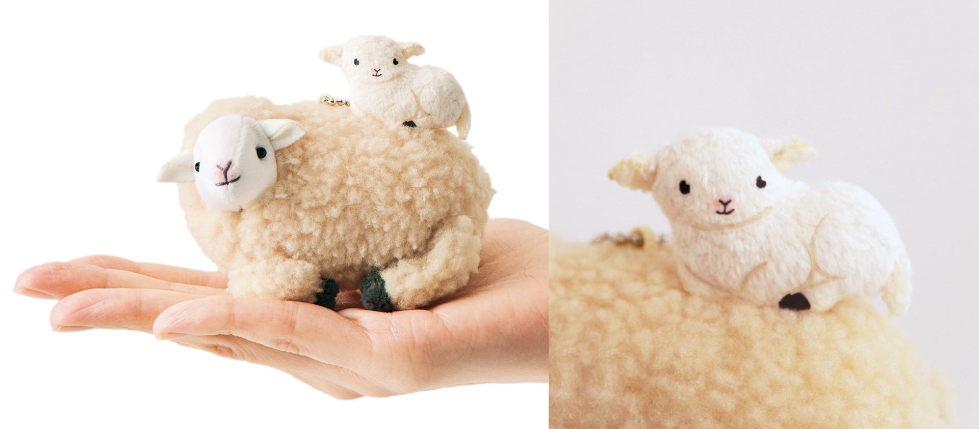 今しか見られない⁉ 赤ちゃん子羊を“おんぶ”する姿を再現した「羊の親子