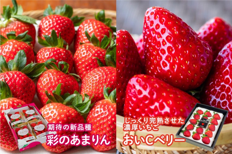 厳選いちご食べ比べ！ | 楽彩株式会社のプレスリリース