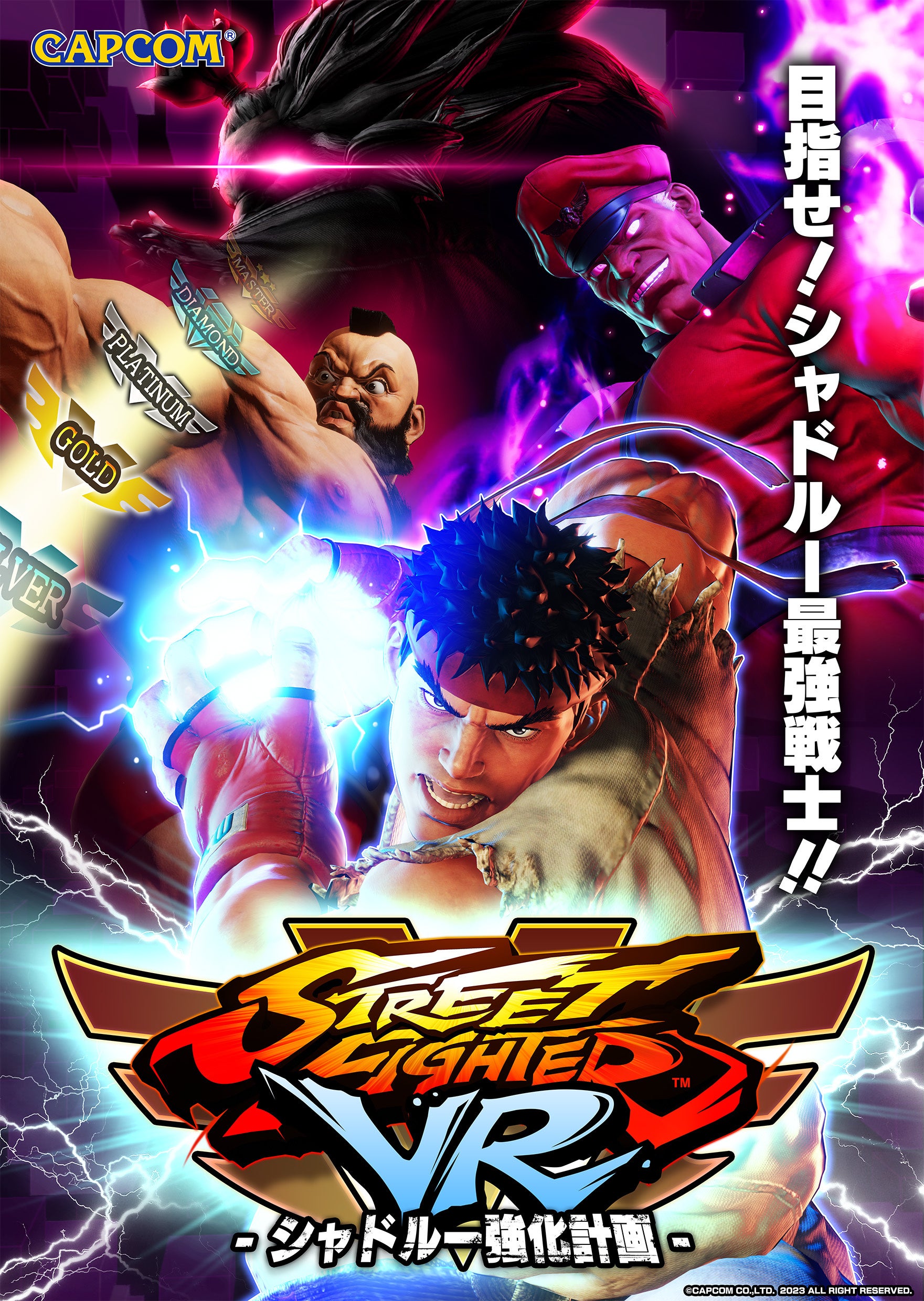 目指せ！シャドルー最強戦士！！ シリーズ初のVR作品となる