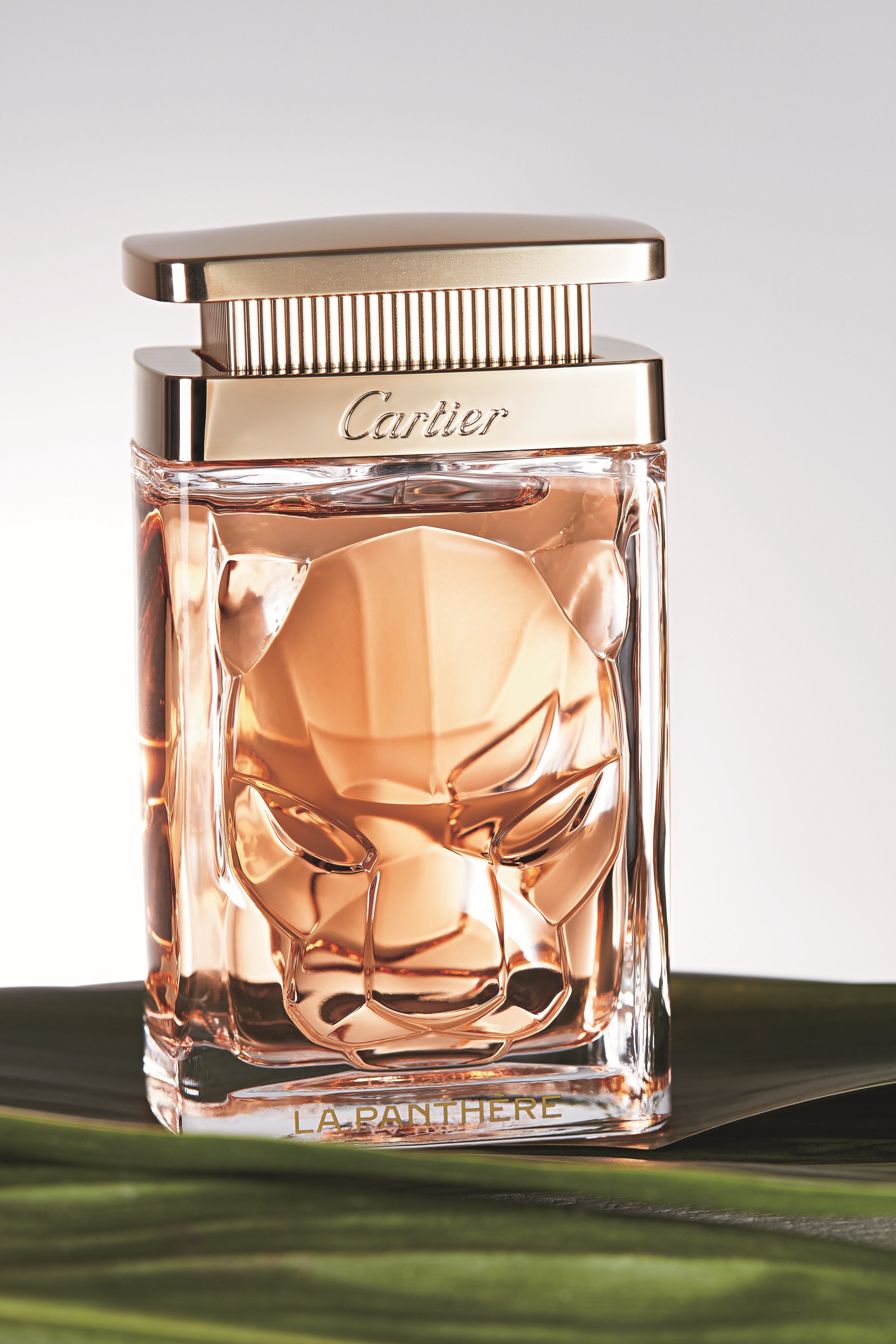 ファッション誌『Oggi』に超豪華付録！カルティエ「ラ パンテール