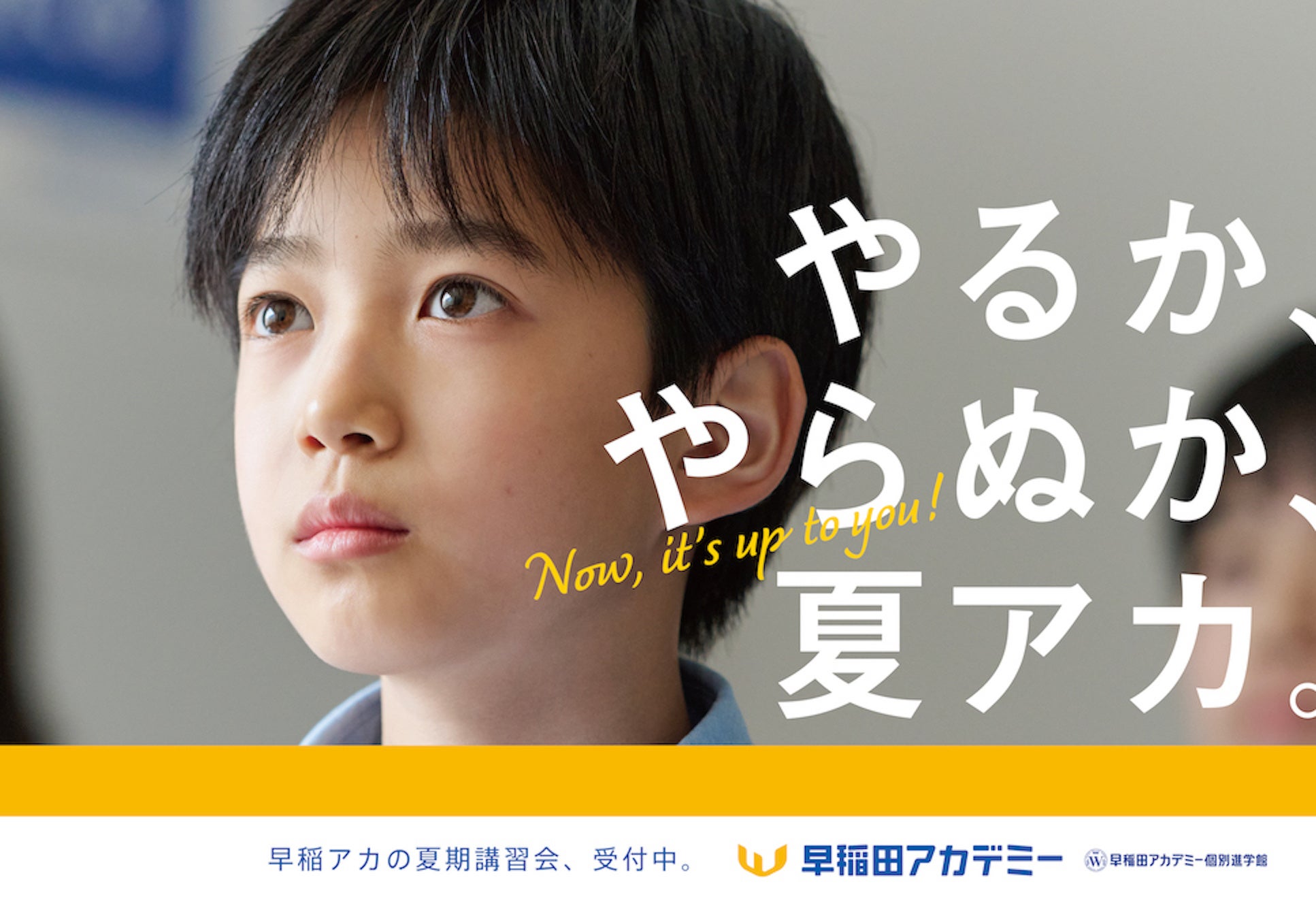 小5 早稲田アカデミー 2024年度 夏期講習会 上位校 バックアップ