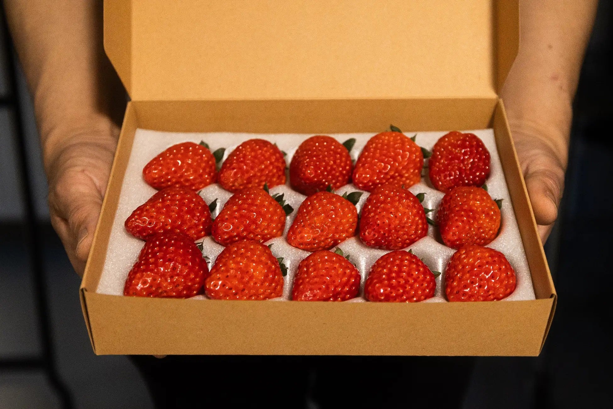 堀江貴文氏も参画 アイファーム社プレスリリース】 「日本品種いちごの