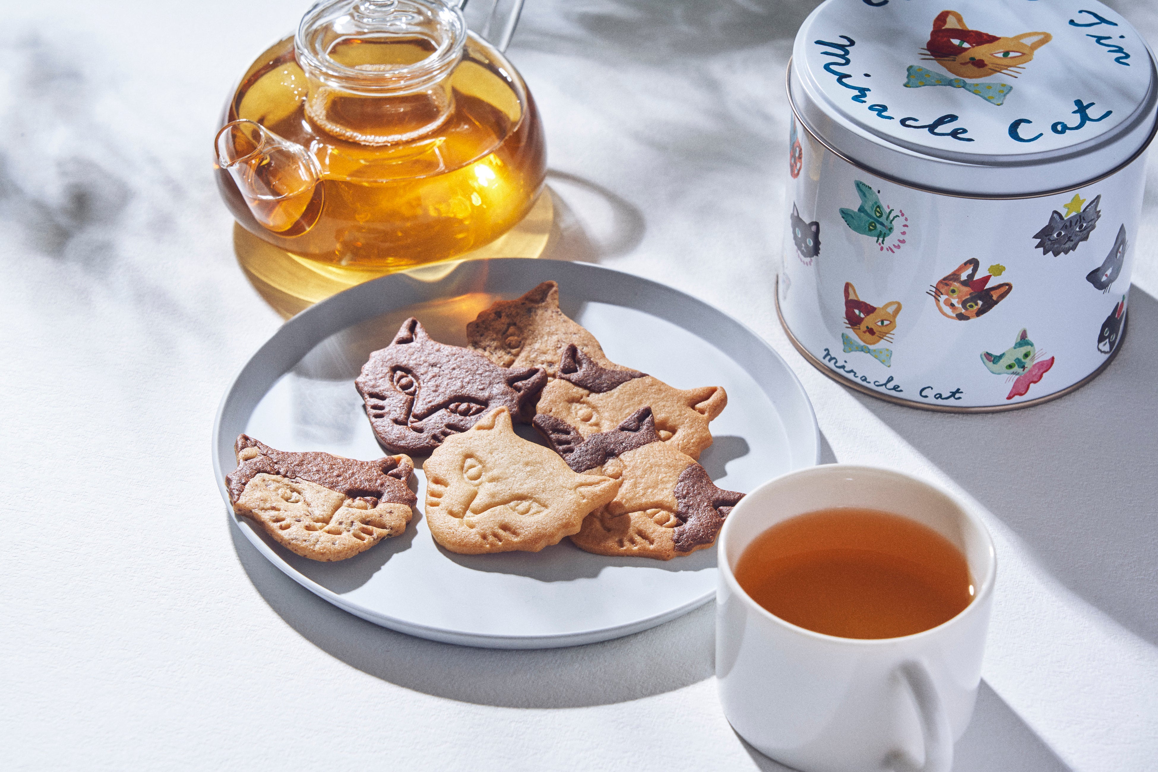 ひと足早い“春色ネコクッキー缶”、阪急うめだ本店先行販売！さらに