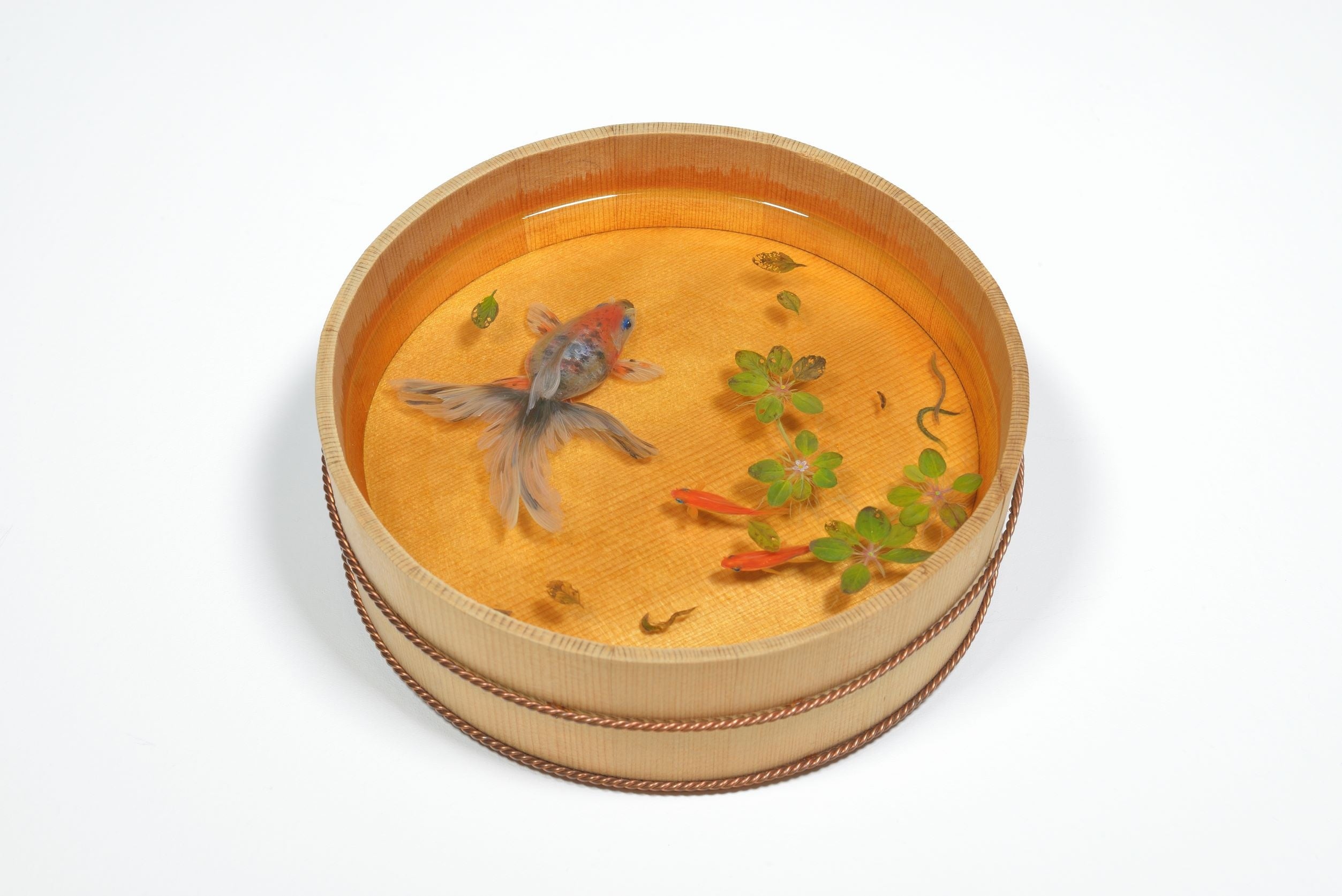 阪神梅田本店】金魚に魅せられ8年。その軌跡に思いを込めた金魚作品を