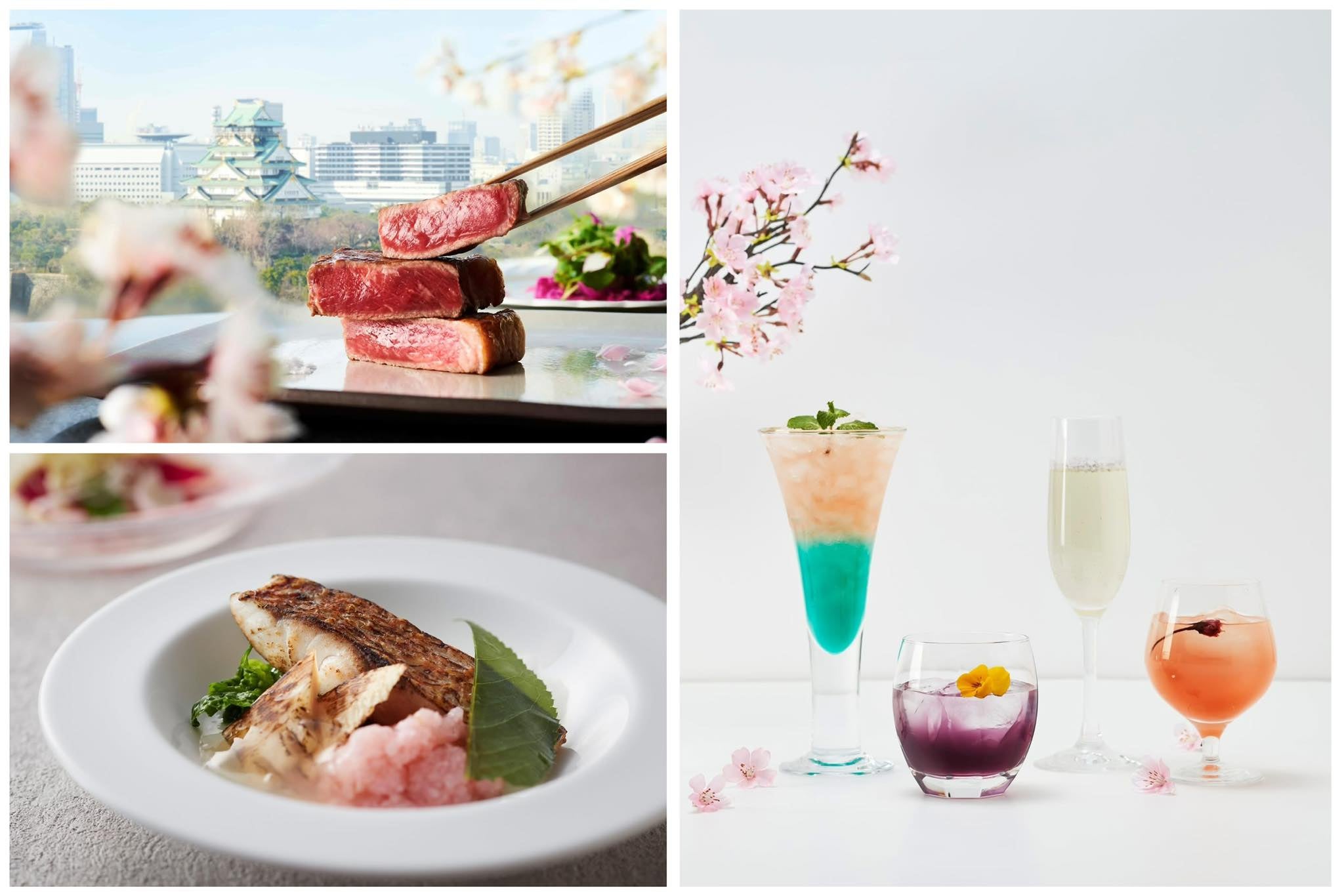 お花見＆グルメを満喫！満開の桜とともに愉しむ、春限定メニューが登場