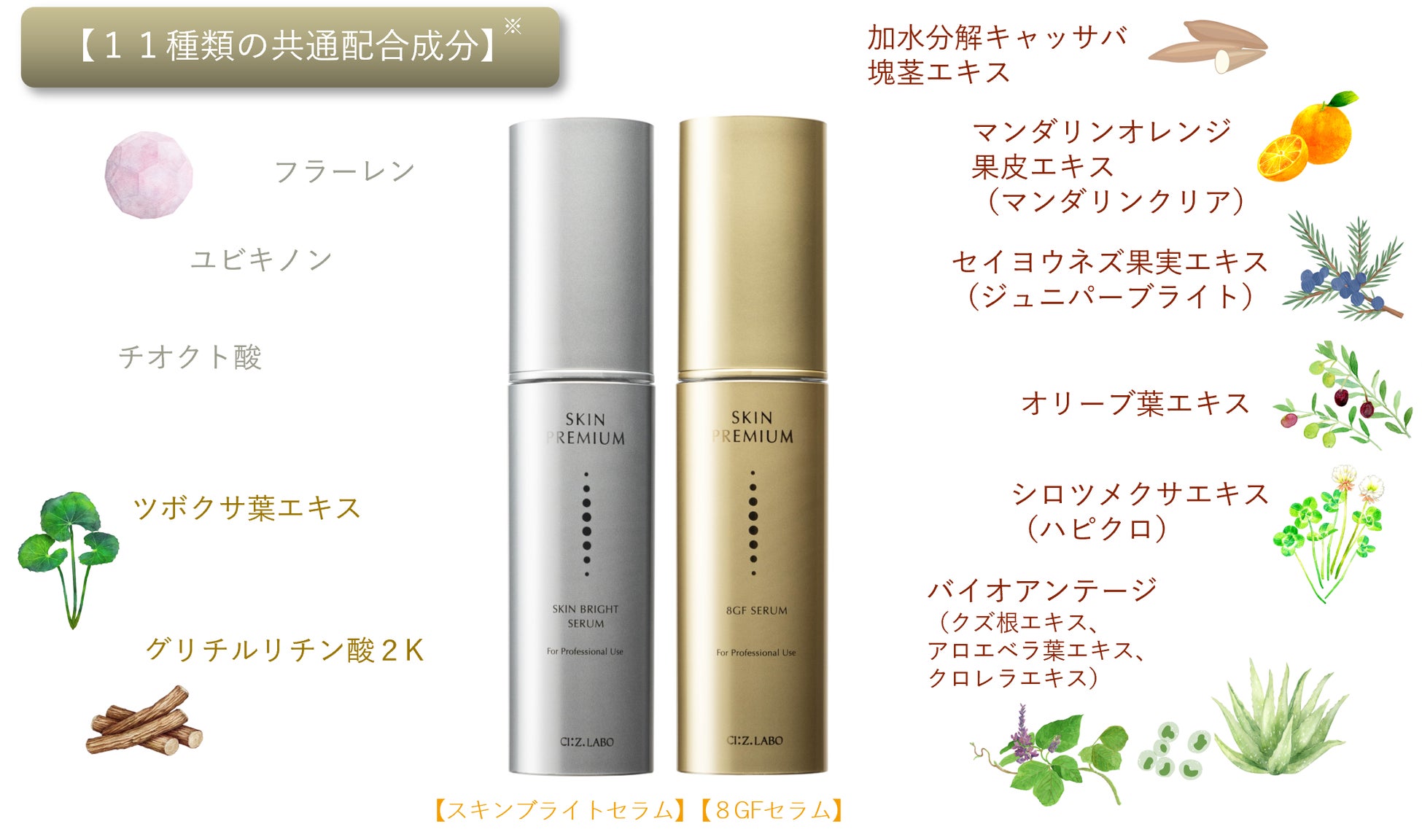 シーズ・ラボから年齢肌対策ケア美容液が発売！スキンプレミアム美容液