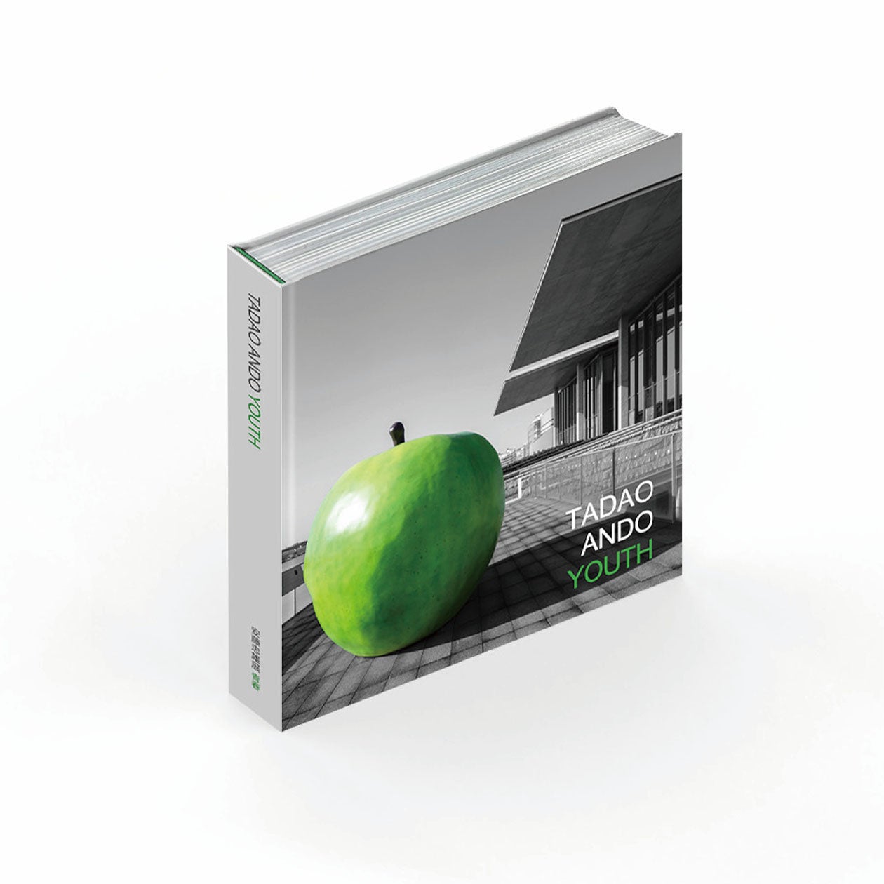 グラングリーン大阪「VS.（ヴイエス）」にて好評開催中の展覧会「安藤