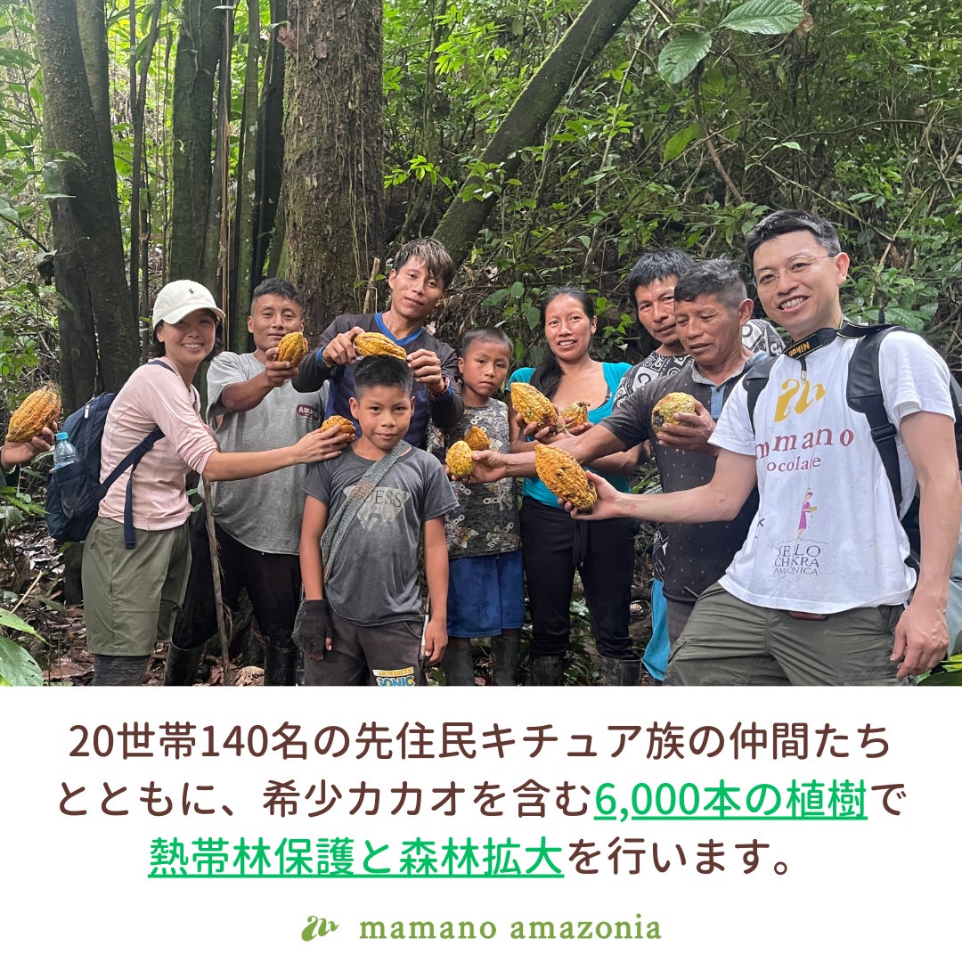 寄付の受付開始：『エクアドルアマゾンの野生カカオを中心に6,000本の