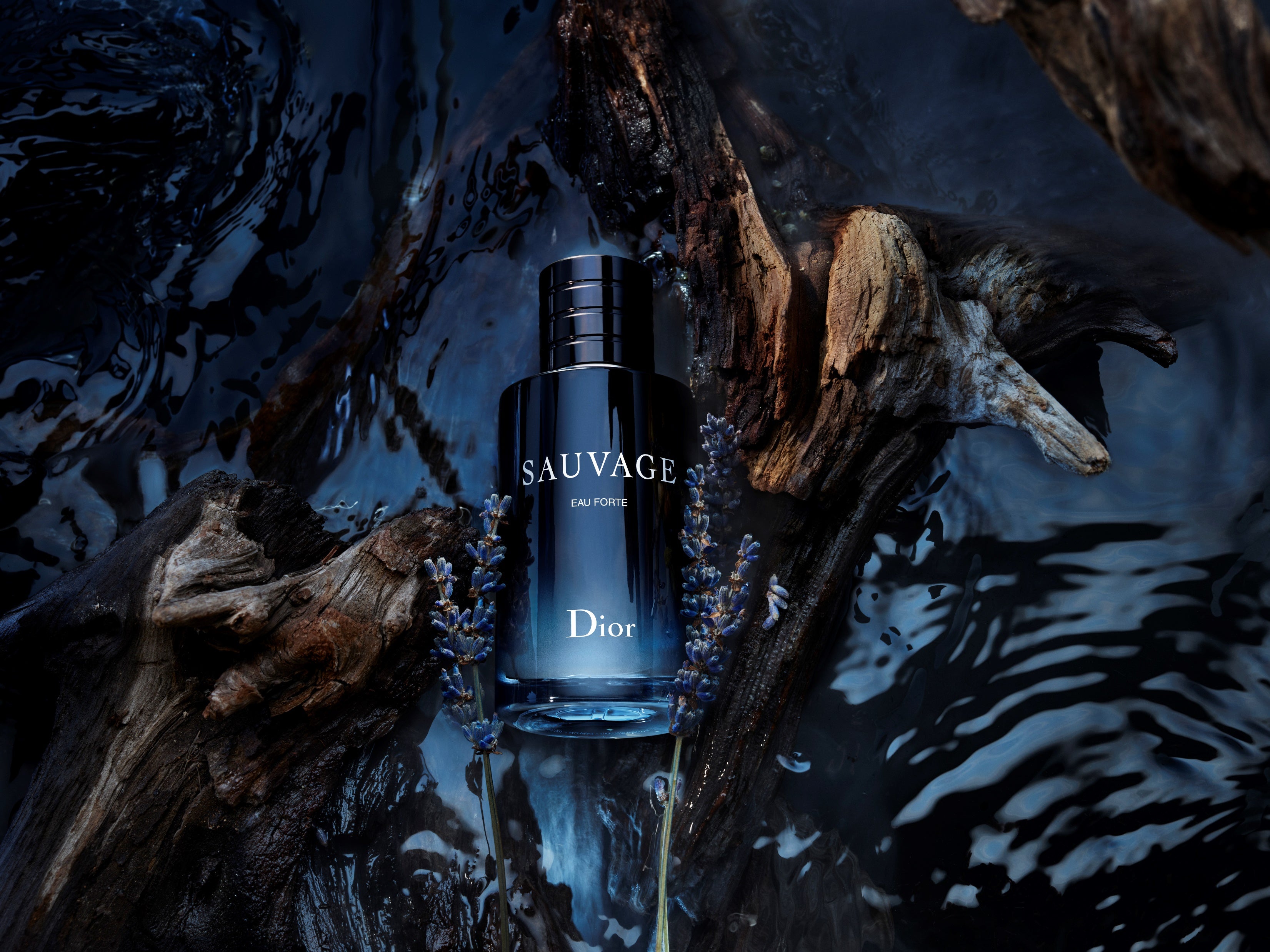 水の力が宿る、新感覚のフレッシュさ「ソヴァージュ オー フォルト