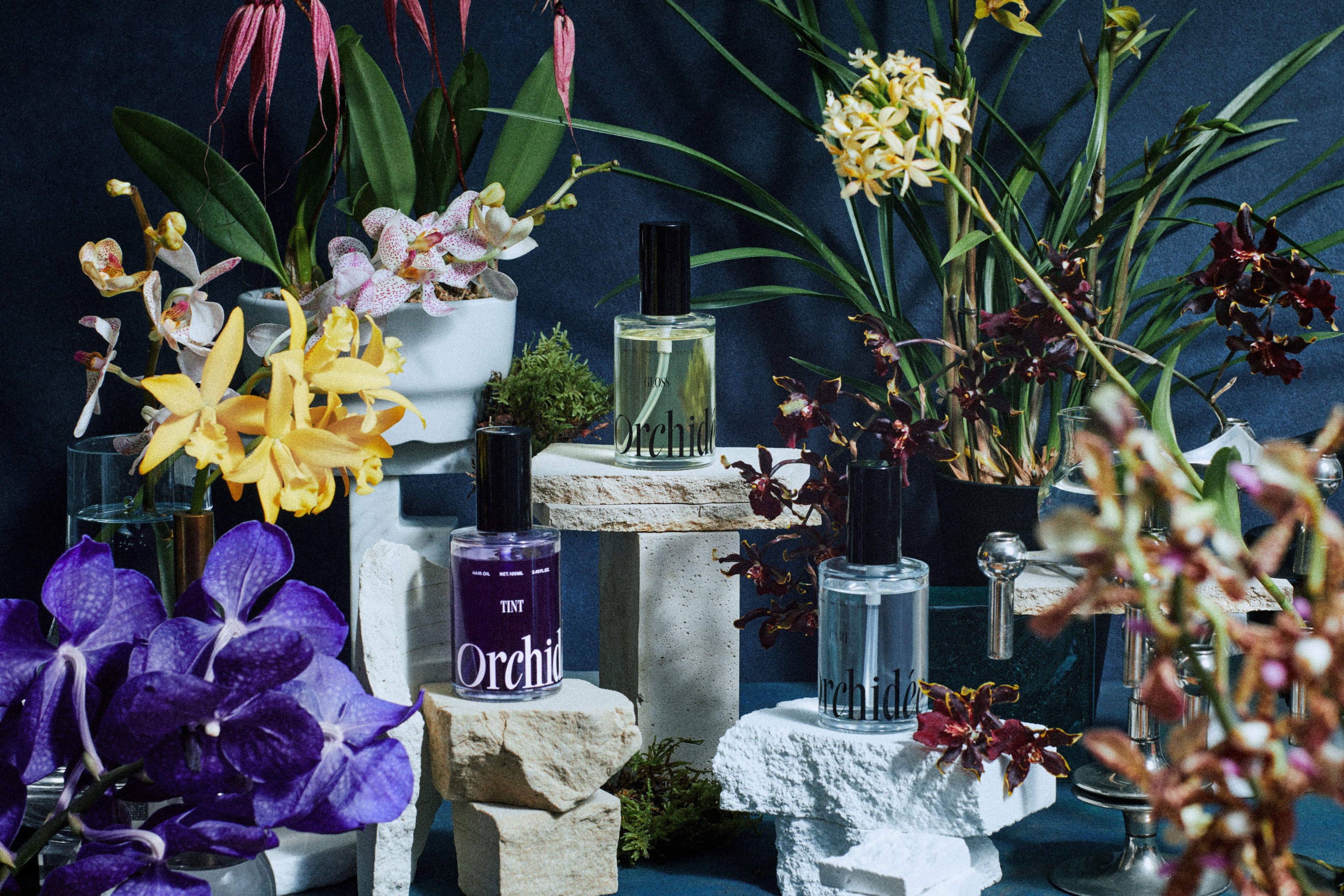 日常を特別に。髪色を美しく魅せる新フレグランス ヘアオイル「Maison