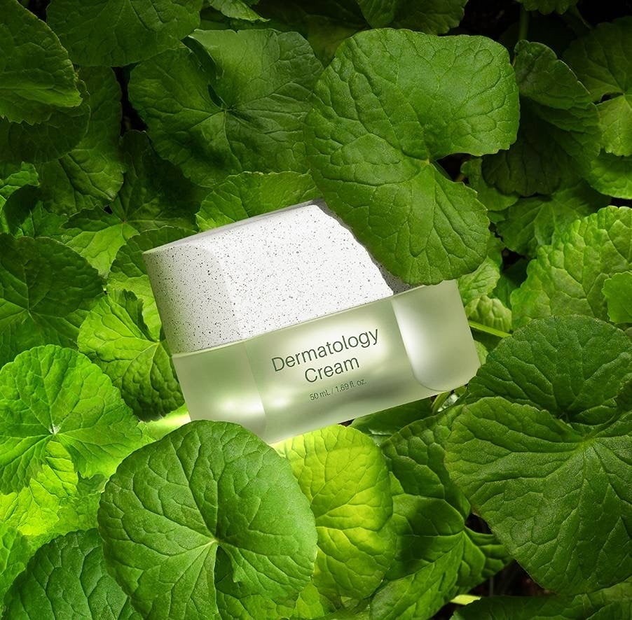 韓国発「インセルダム（INCELLDERM） ICD」がついに日本上陸。株式会社