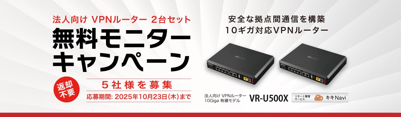 安全な拠点間通信を構築】法人向け10ギガ対応VPNルーター2台セットの