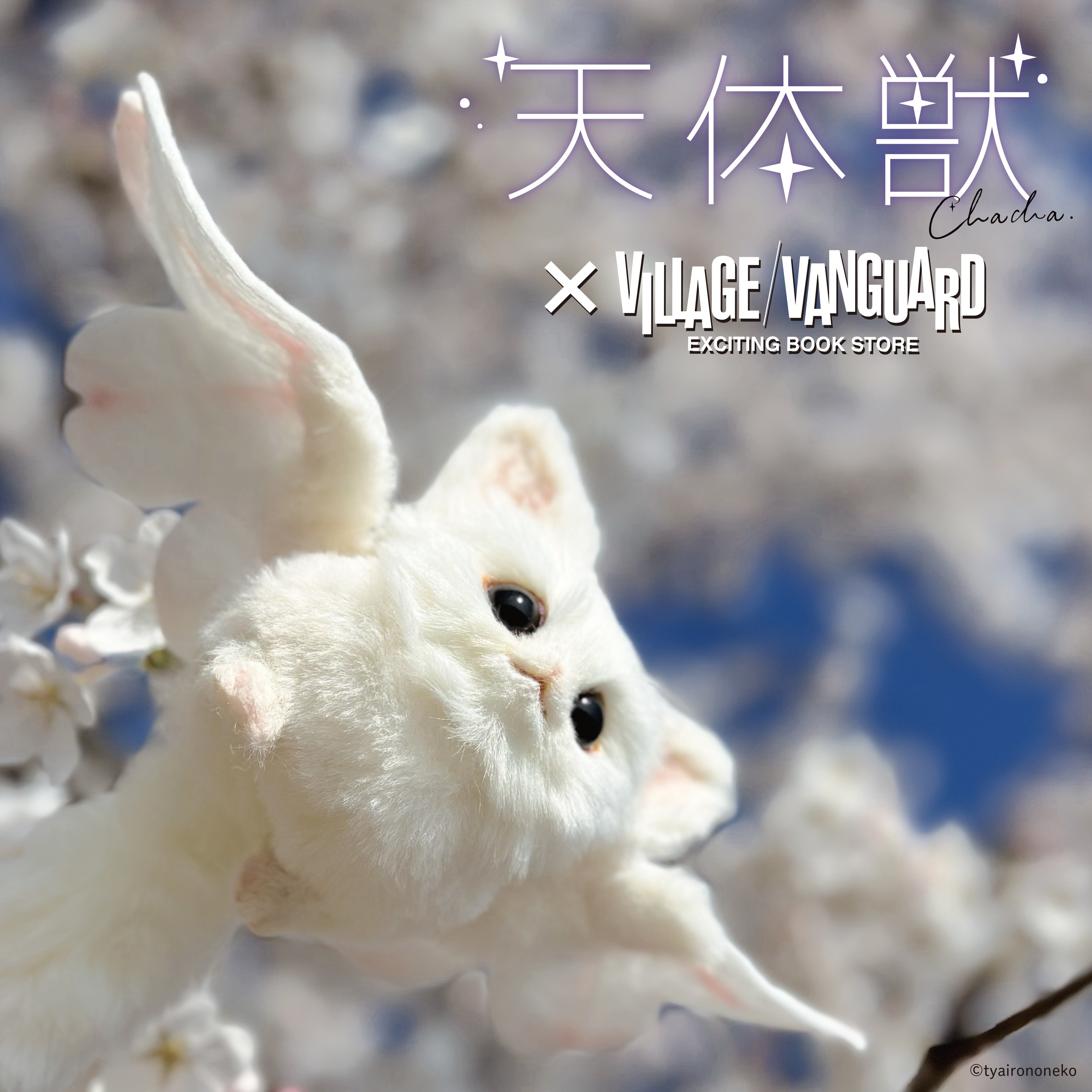 ディバインゲート×ヴィレッジヴァンガード】コラボ第二弾！ | 株式会社