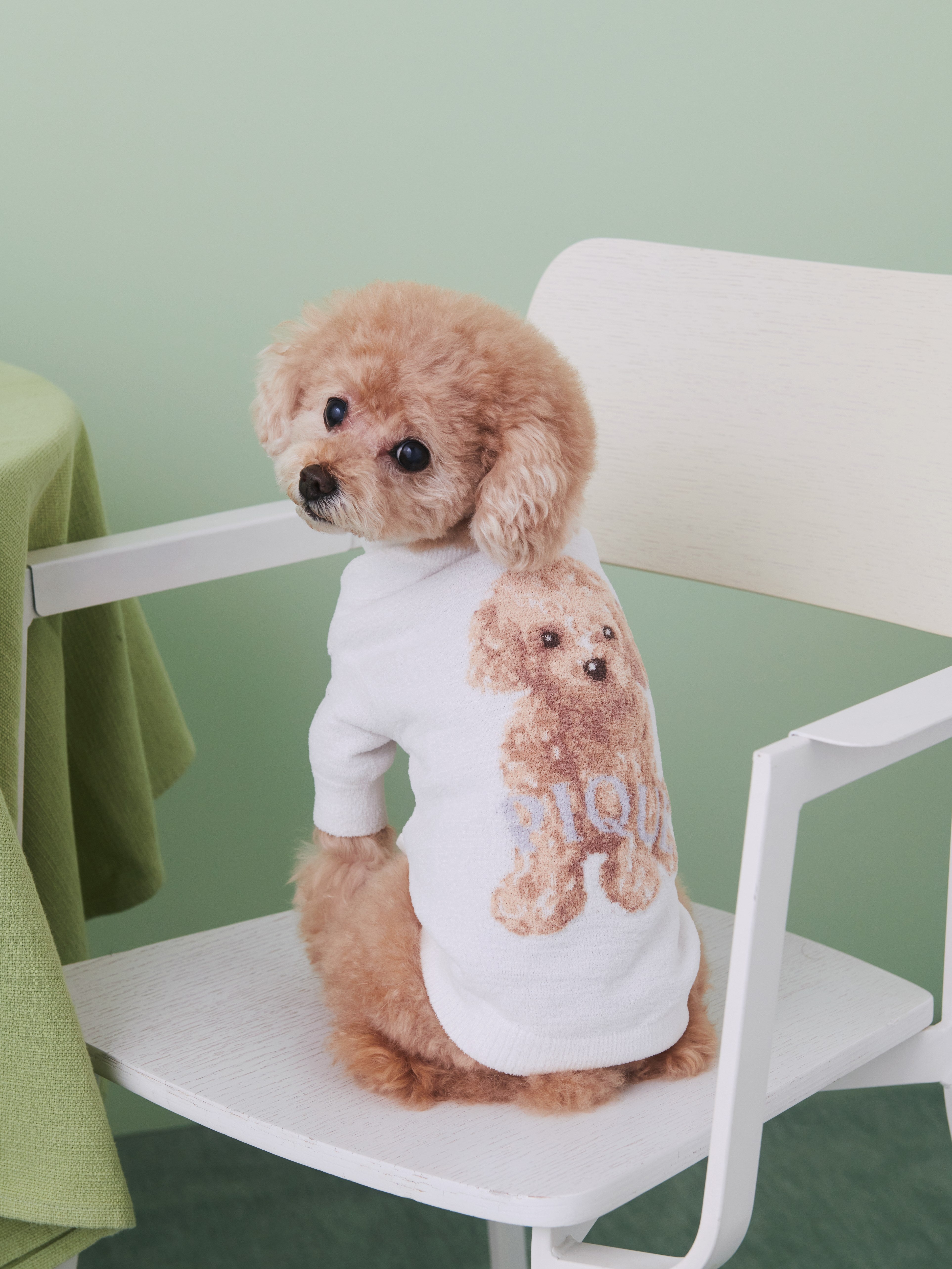 GELATO PIQUE トイプードルブランケット Amazon.co.jp: ジェラピケ