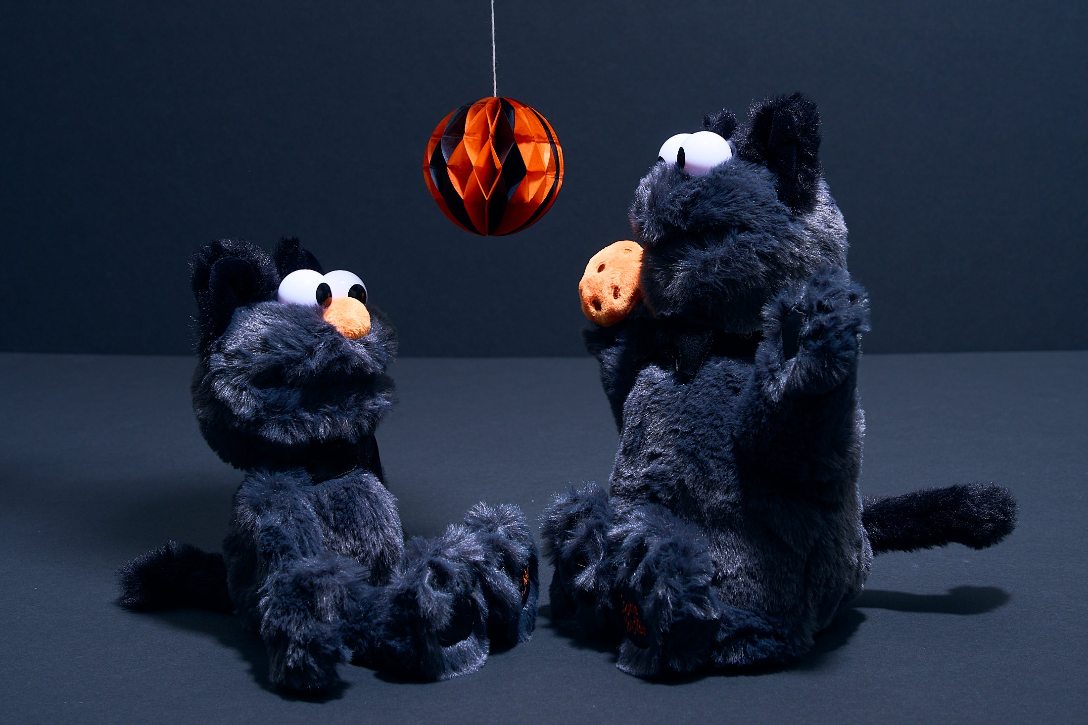 セサミストリートマーケット】ハロウィンムードたっぷりの新