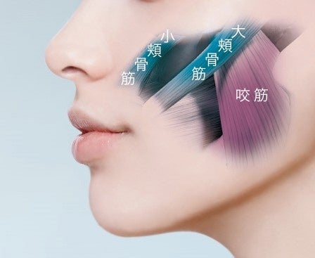 YA-MAN TOKYO JAPAN『メディリフト アクア EX』2023年4月中旬より店頭