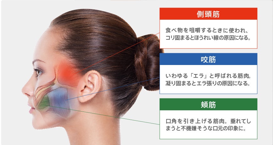 ギフトショー出店決定！新発売の光美容機器、TV通販話題の美顔器をぜひ