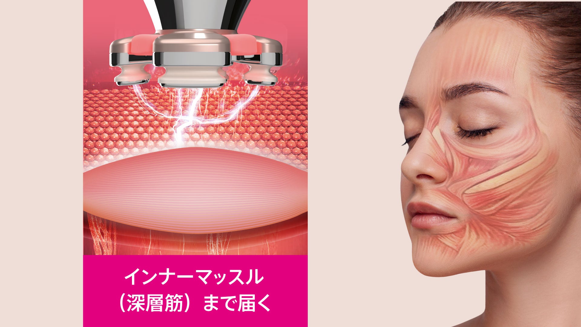 ZoGanKin 美顔器 ZL2255 ピンク ZoGanKin 美顔器 ZL2255 ピンク