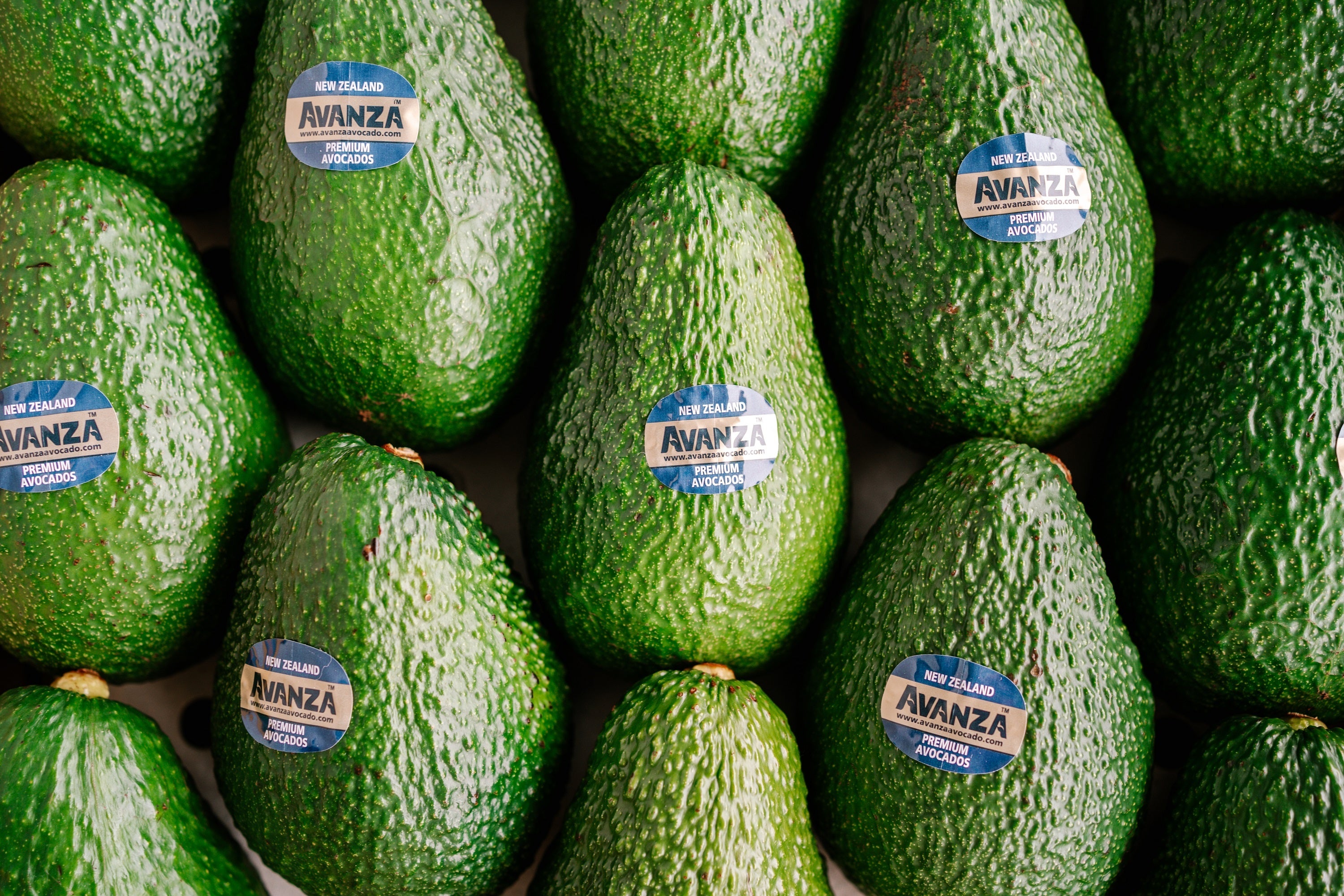 食にこだわる人が選ぶアボカド ニュージーランド産アボカド＜アバンザ