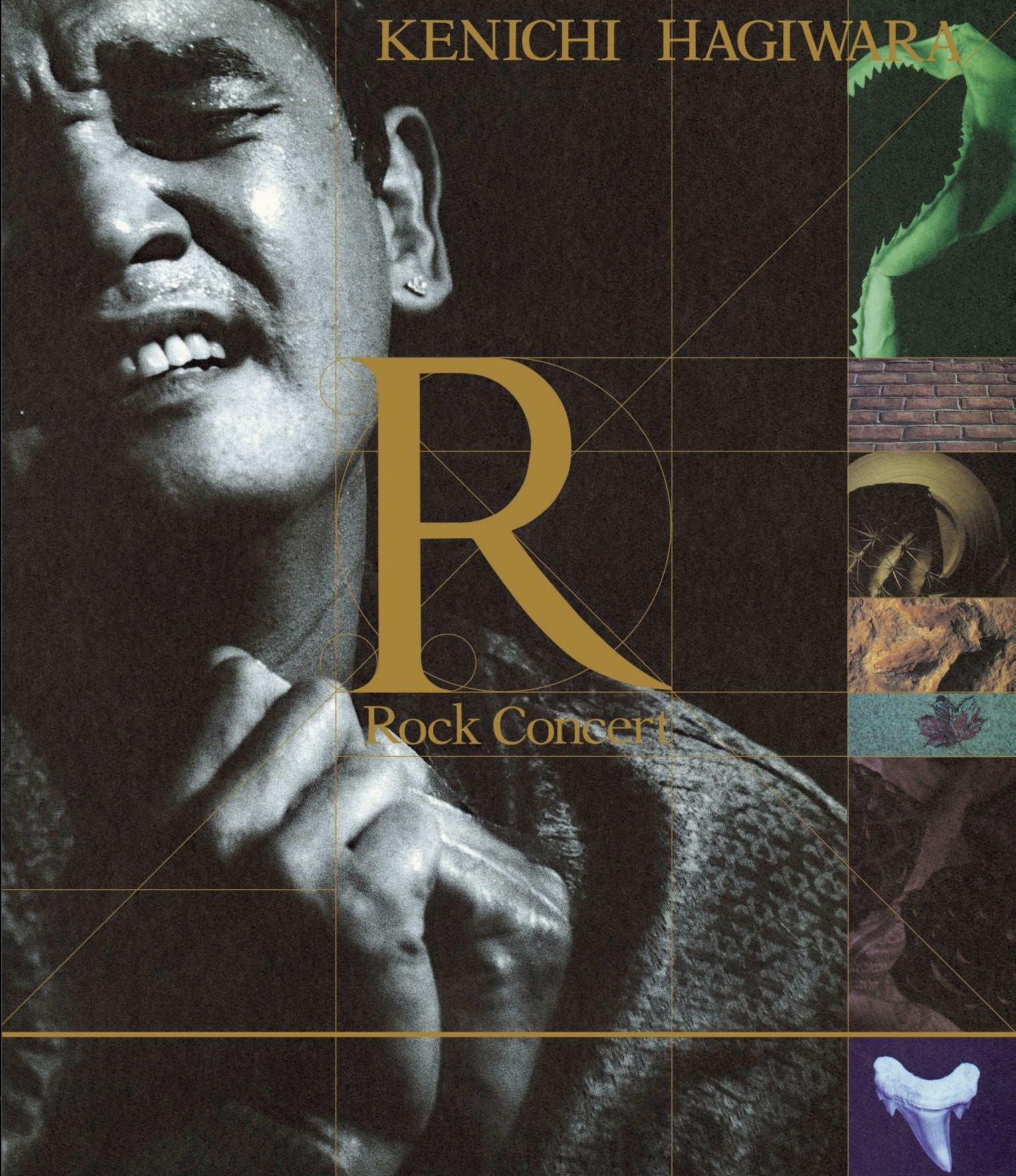 俳優にしてミュージシャン、カリスマ“ショーケン”こと萩原健一の伝説の