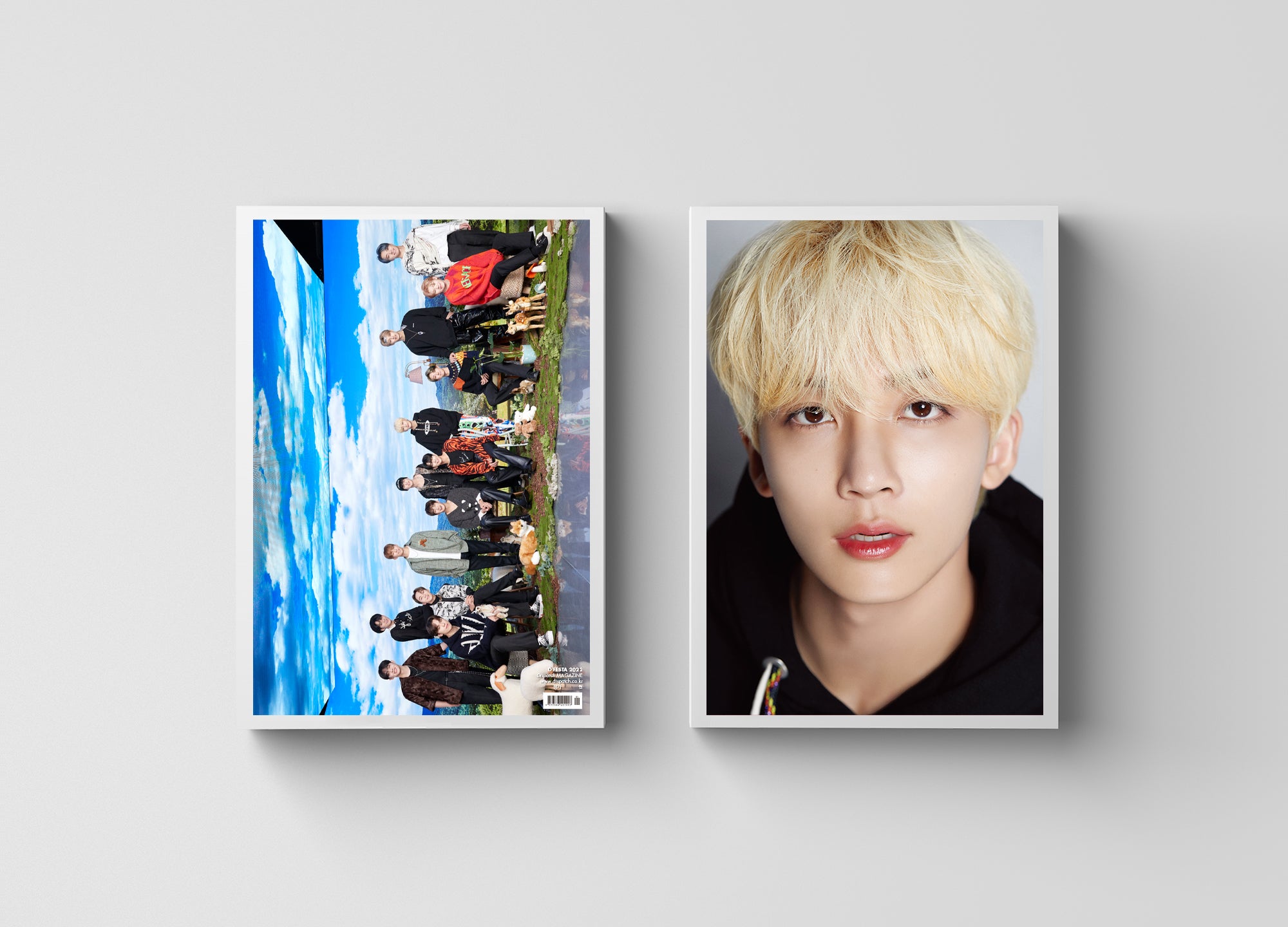 12日間限定予約】大話題のK-POPフェス「D'FESTA」の特別写真集『DICON