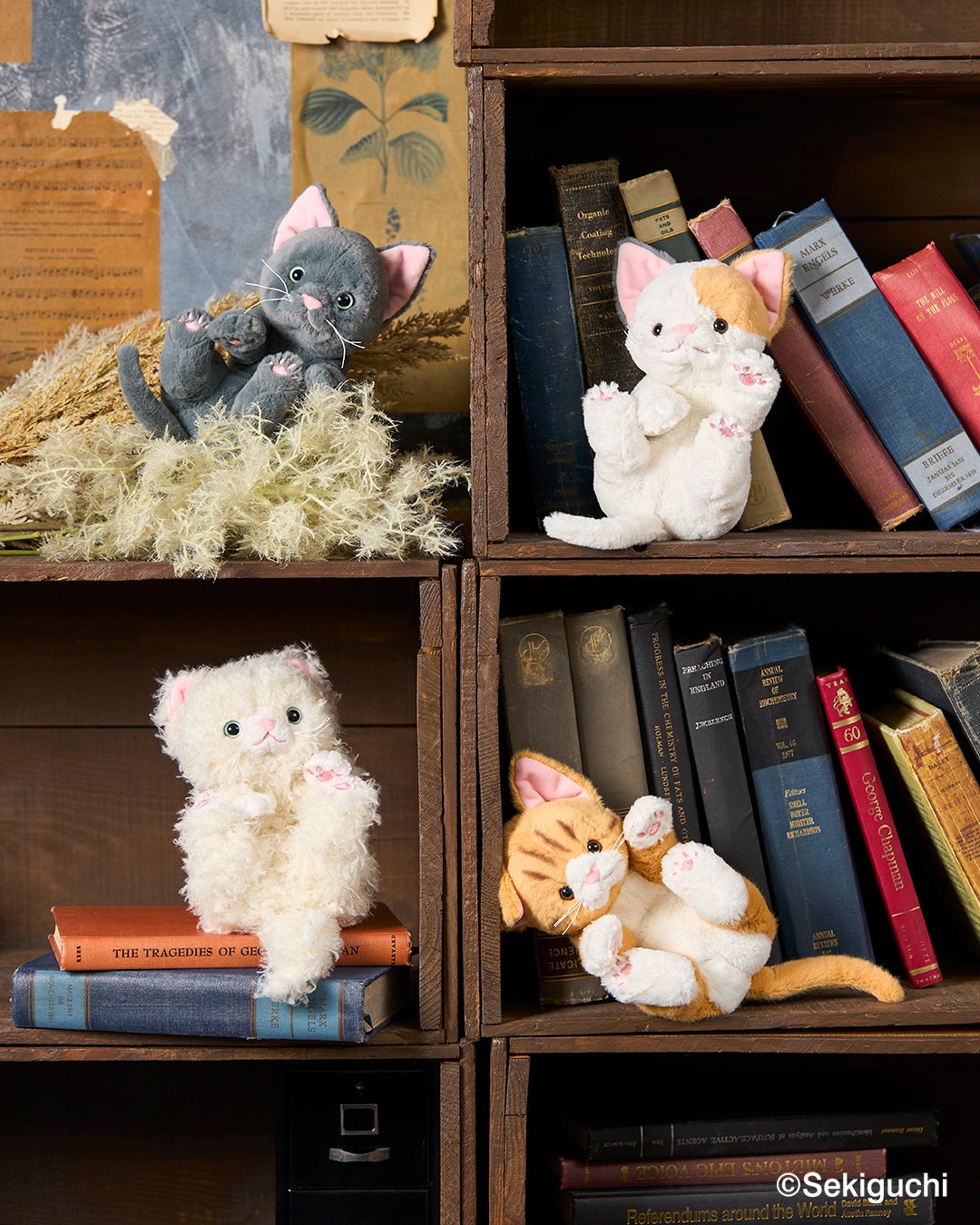 セキグチ】オリジナルシリーズ「ころりんぬいぐるみ ねこ」が2026年2月