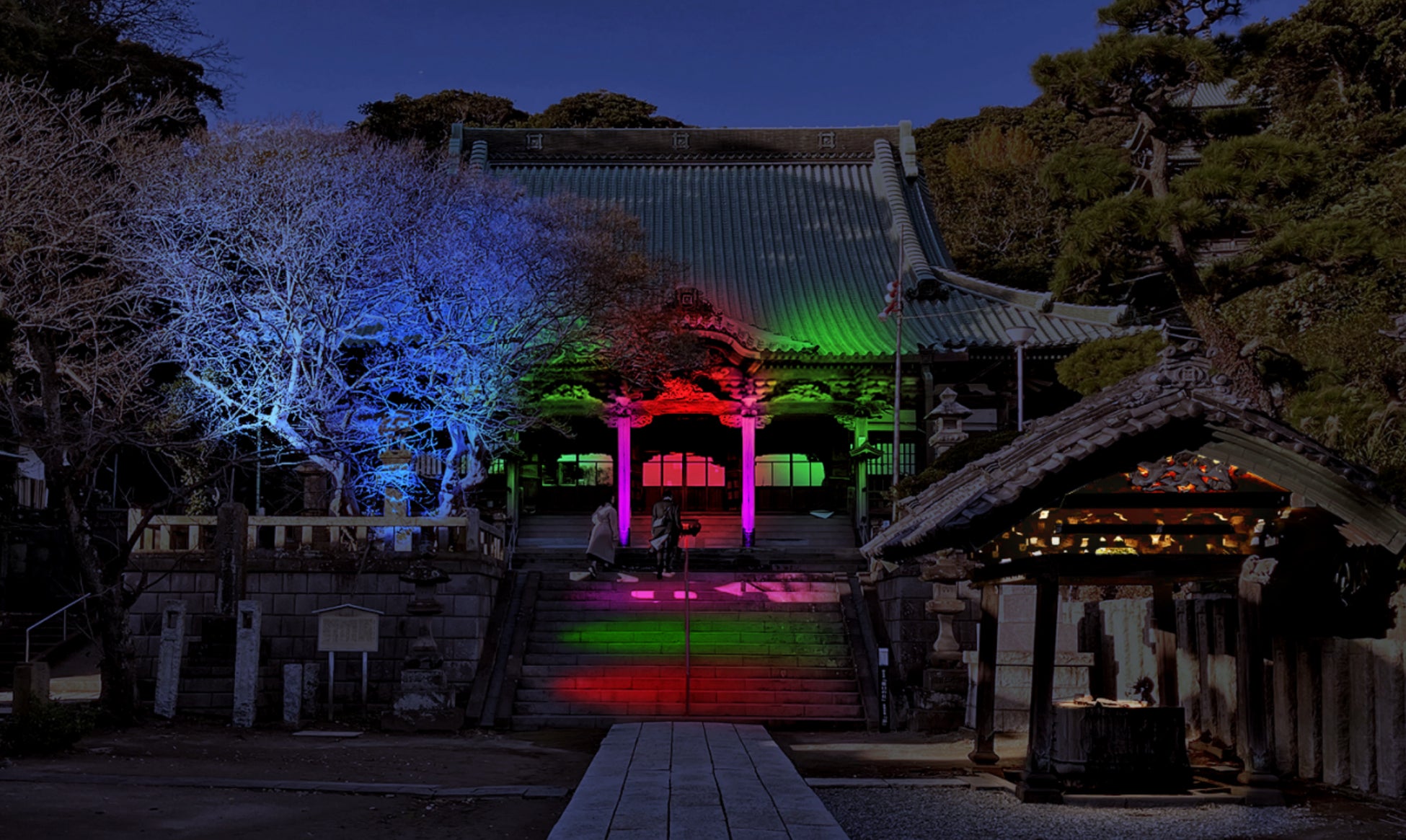 鎌倉農泊協議会が「龍口寺ライトアップ」 を2025年1月に実施 | 株式