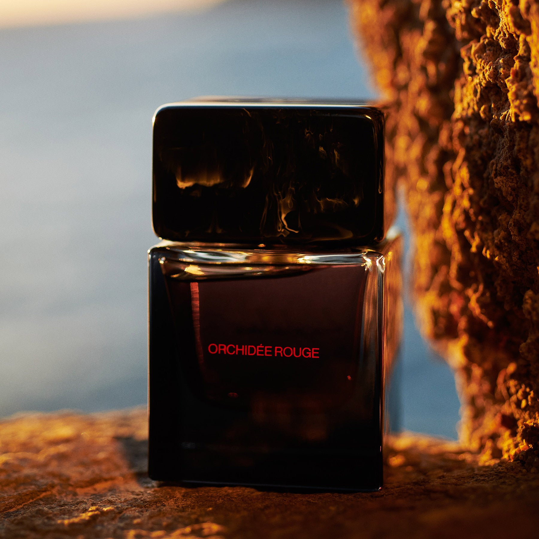 若き香水クリエイターが生み出す“家族の愛の結晶”「Sora Dora（ソラ