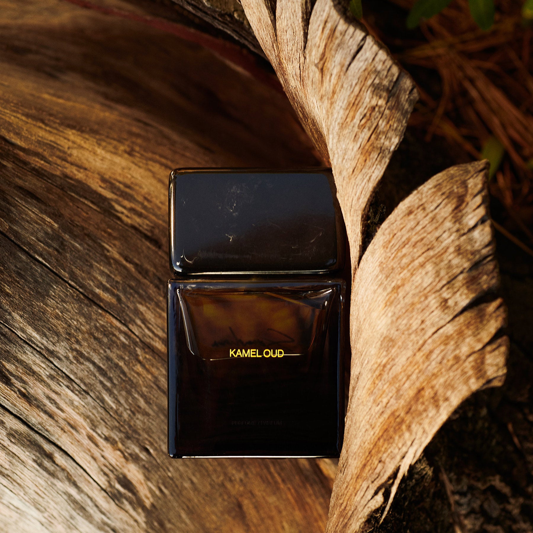 若き香水クリエイターが生み出す“家族の愛の結晶”「Sora Dora（ソラ