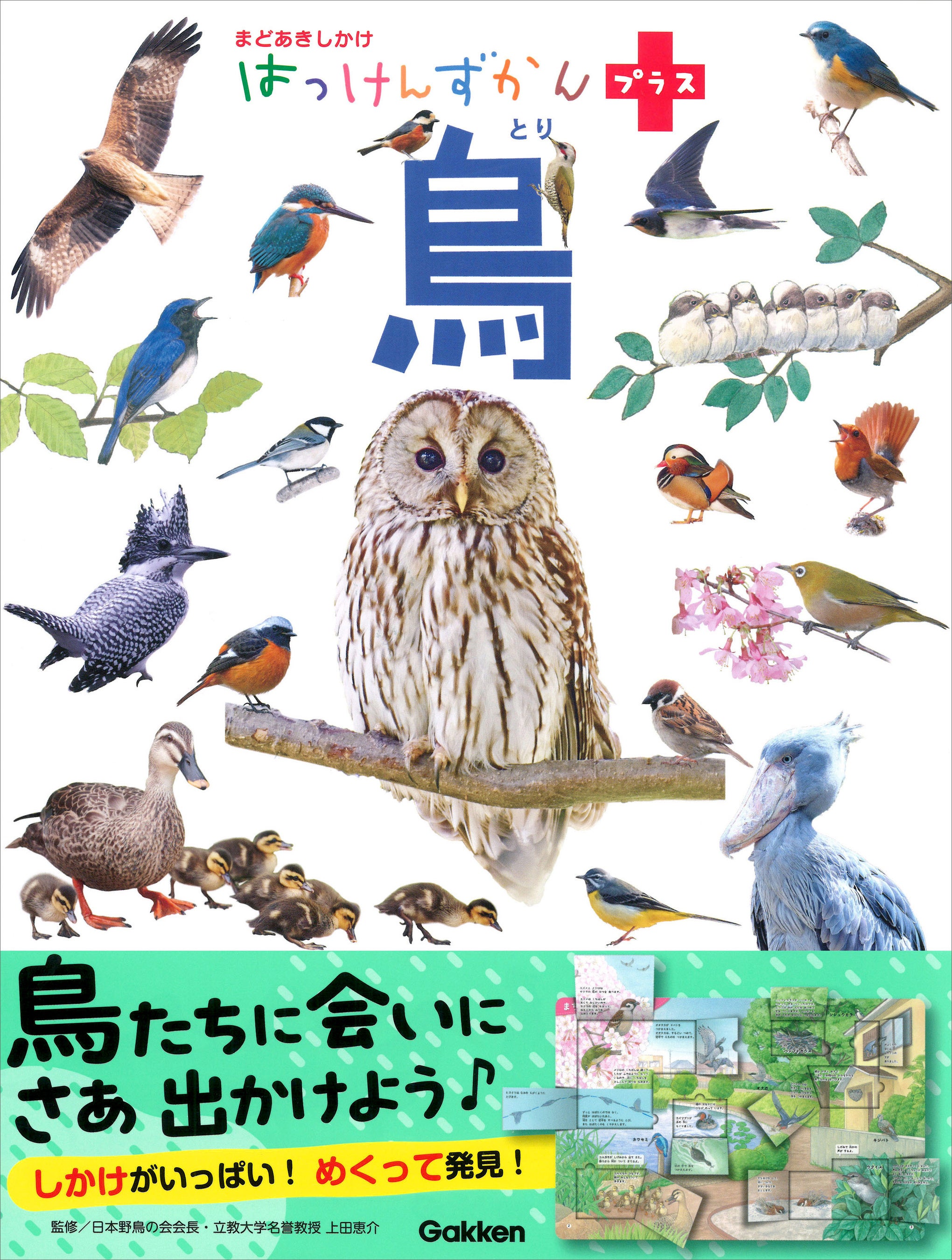 しかけをめくって鳥を発見できる図鑑『はっけんずかんプラス 鳥』発売