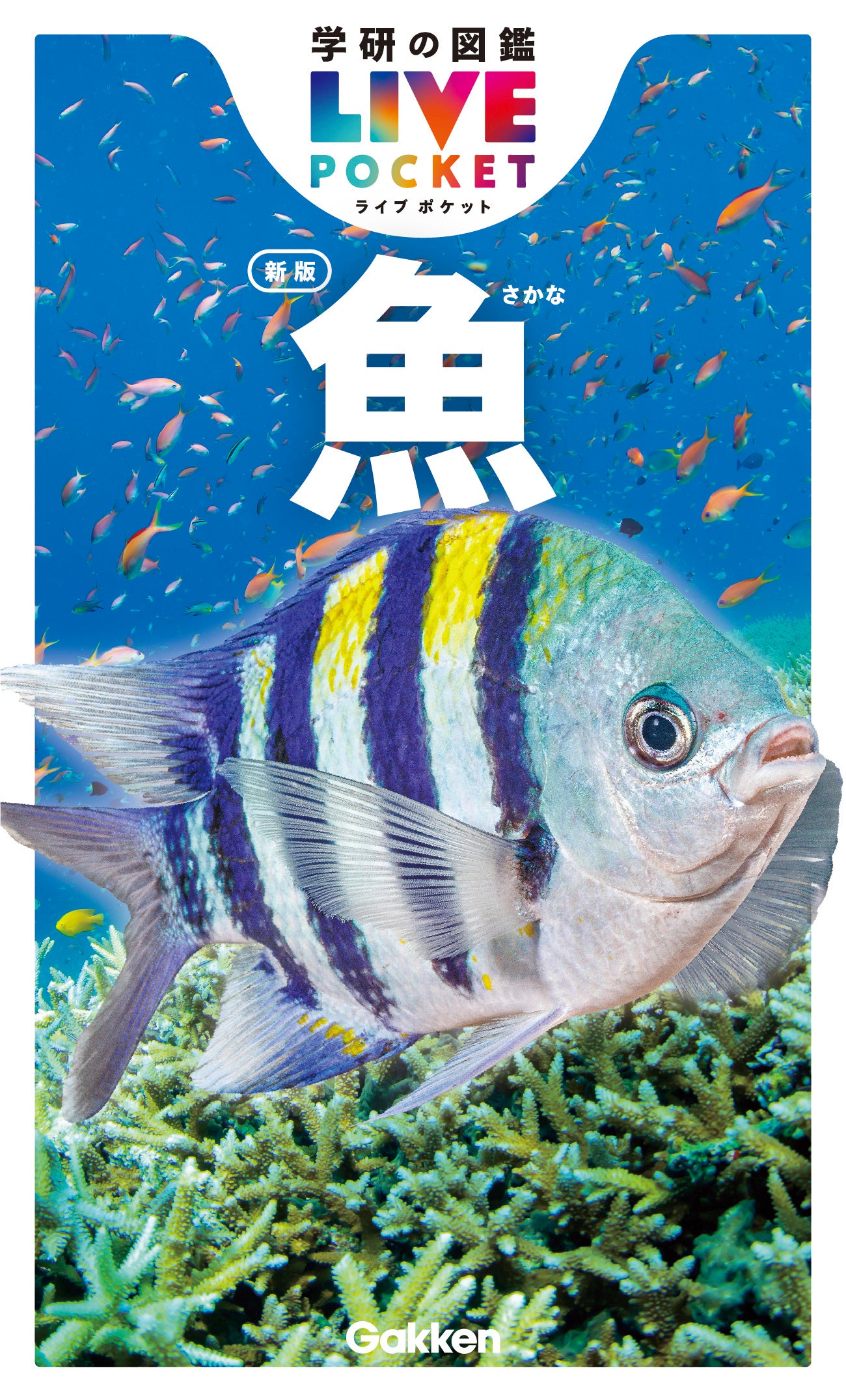 お散歩やアウトドアのおともに！】『学研の図鑑LIVEポケット 魚 新版